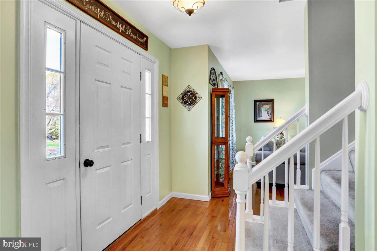 MOWER MEADOWS - Residential