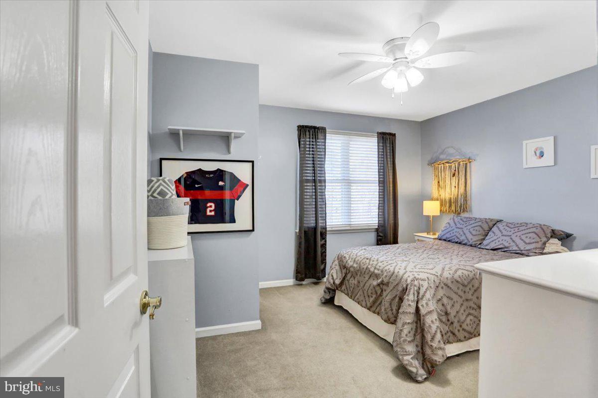 MOWER MEADOWS - Residential