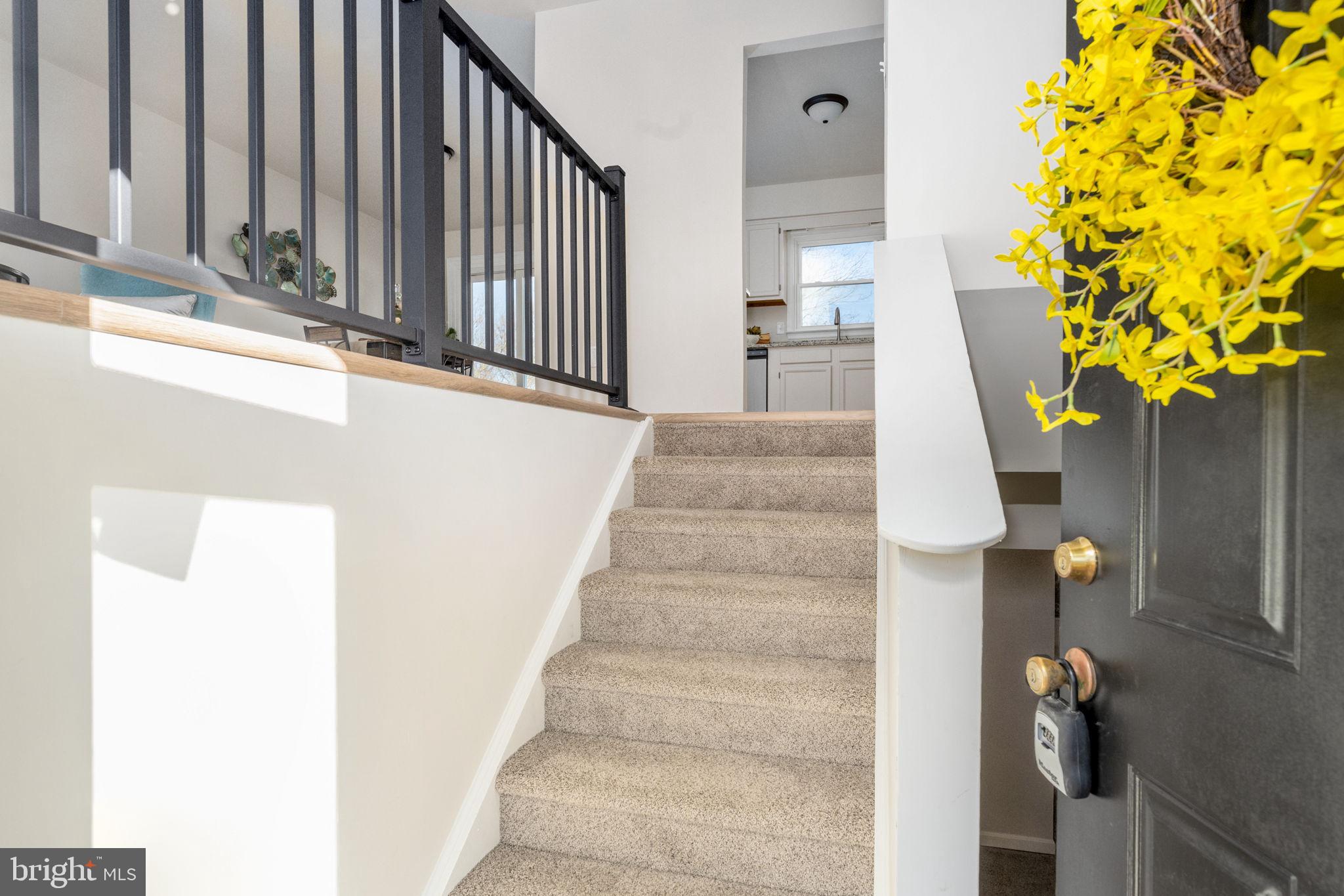 WINDSOR PLACE - Residential