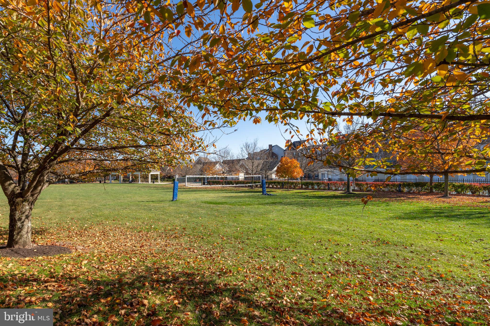 MAPLE LAWN - Residential