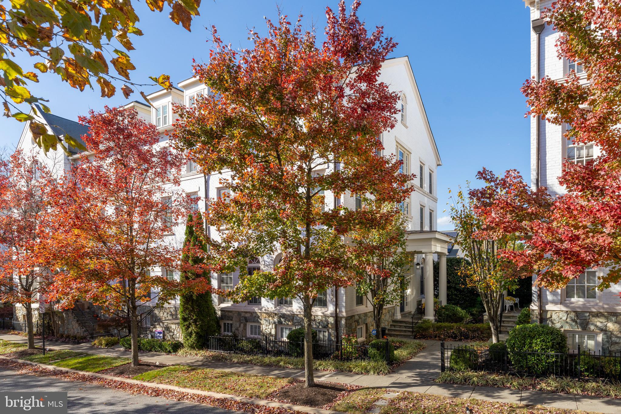 MAPLE LAWN - Residential