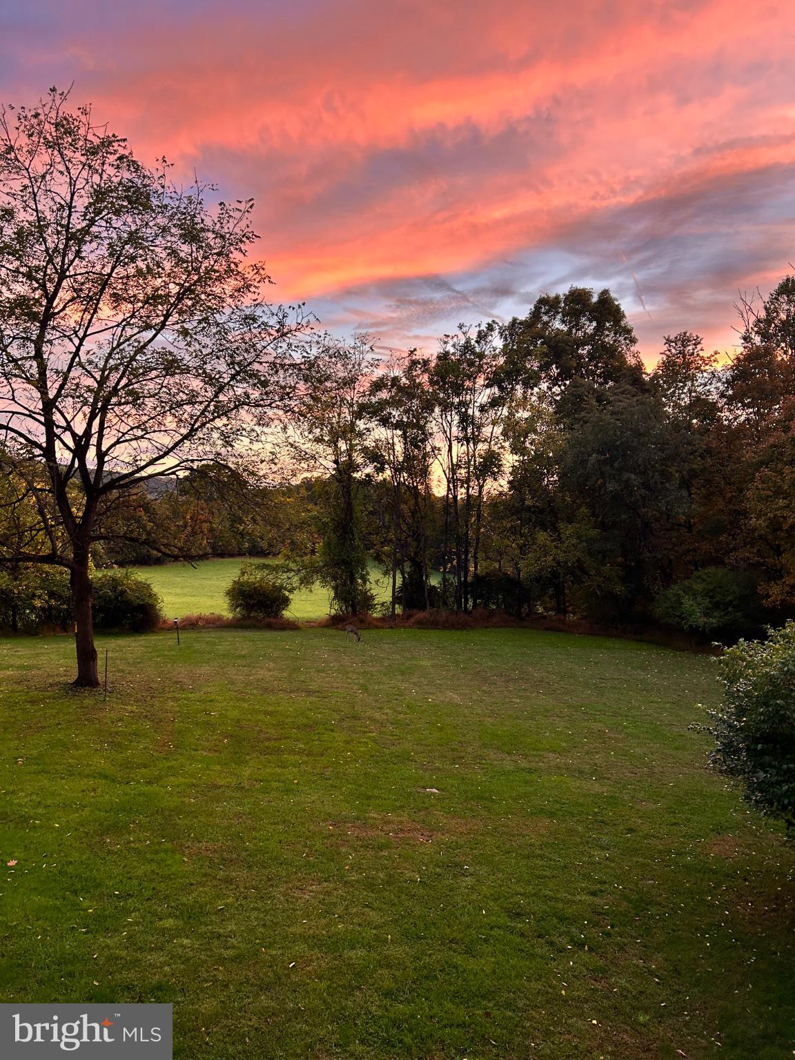 112 OYSTERDALE ROAD