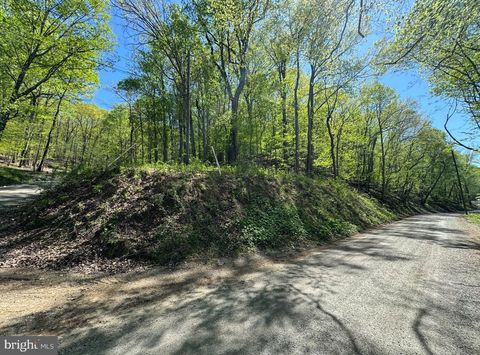 Vacant Land For Sale - LOT 45 Timber Lane<br/> BLUEMONT, VA 20135