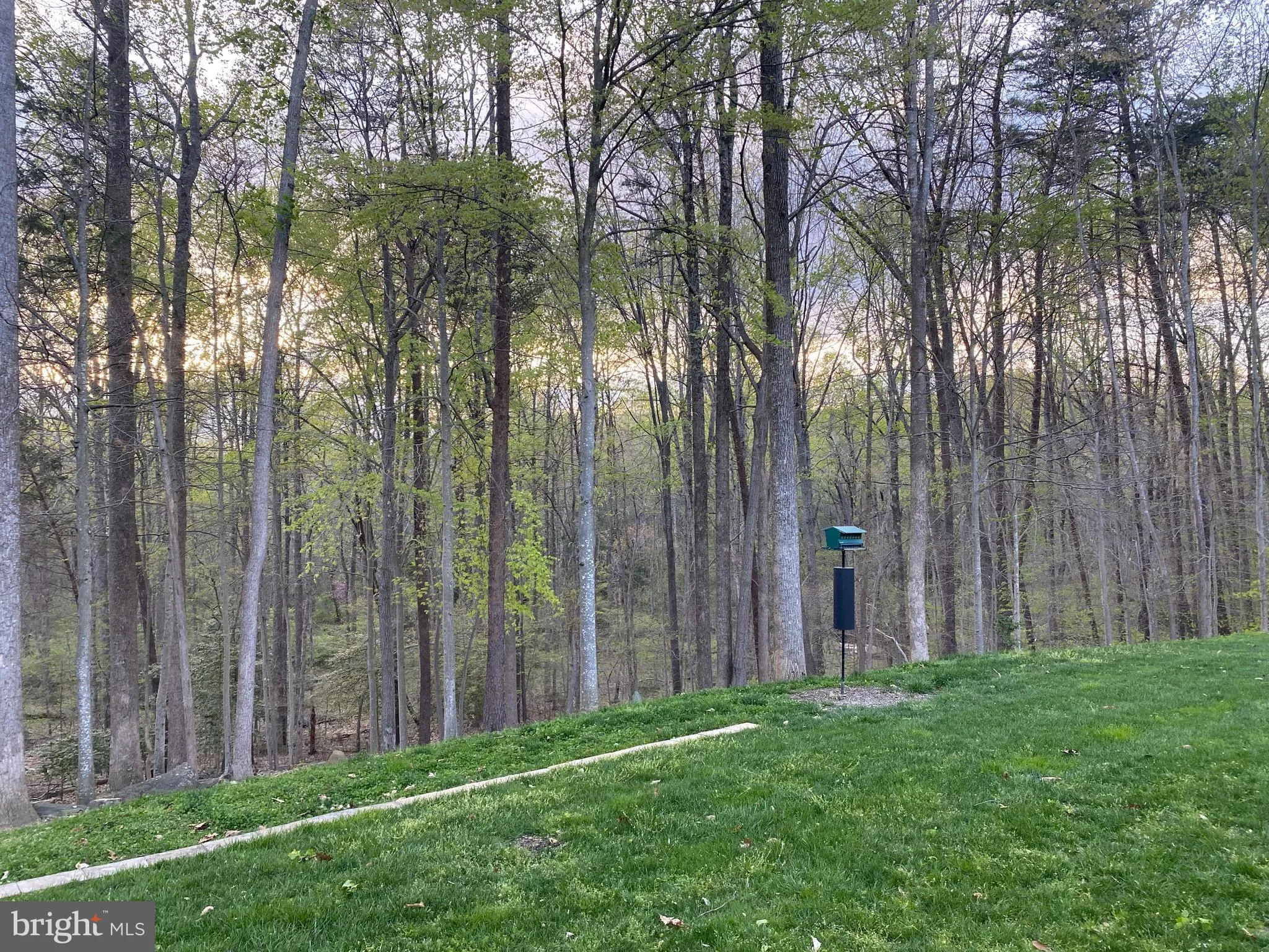 Woodbridge, Virginia 22193, United States, 4 Bedrooms Bedrooms, ,4 BathroomsBathrooms,Residential,Coming Soon,111618