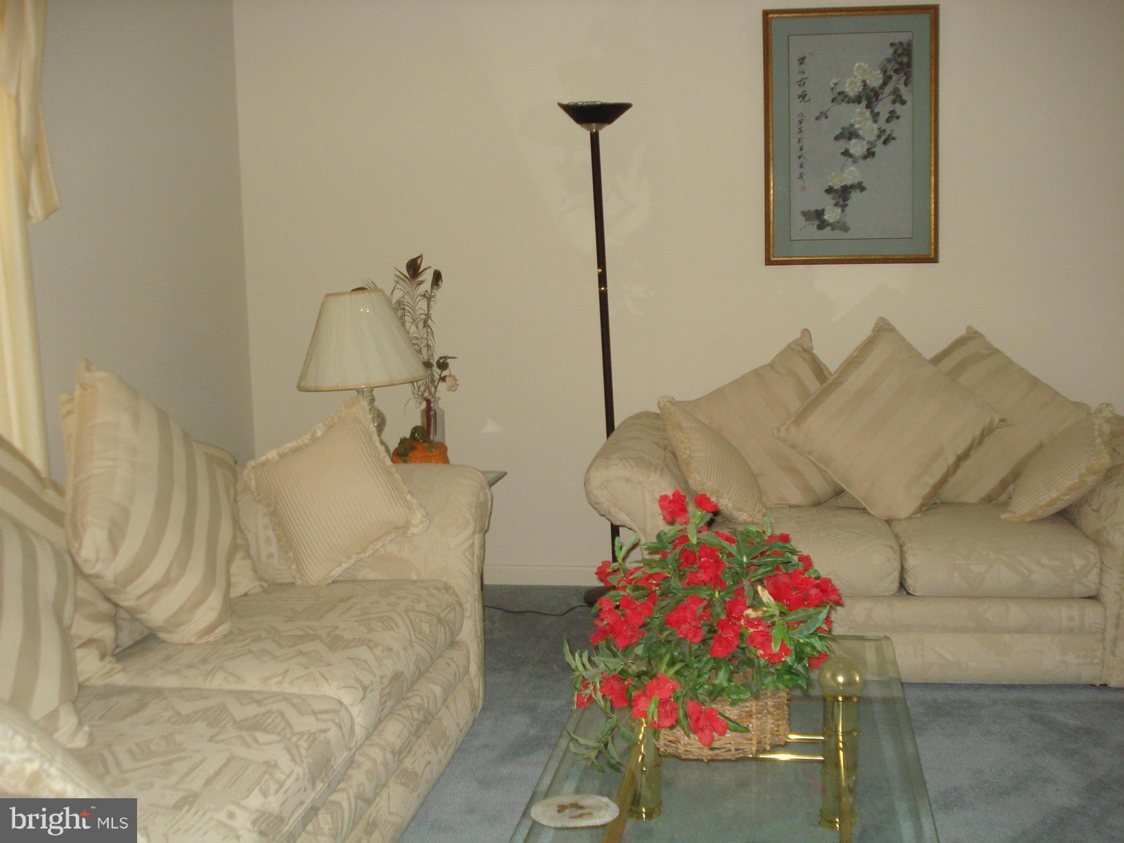 CHESAPEAKE RANCH ESTATES - Residential