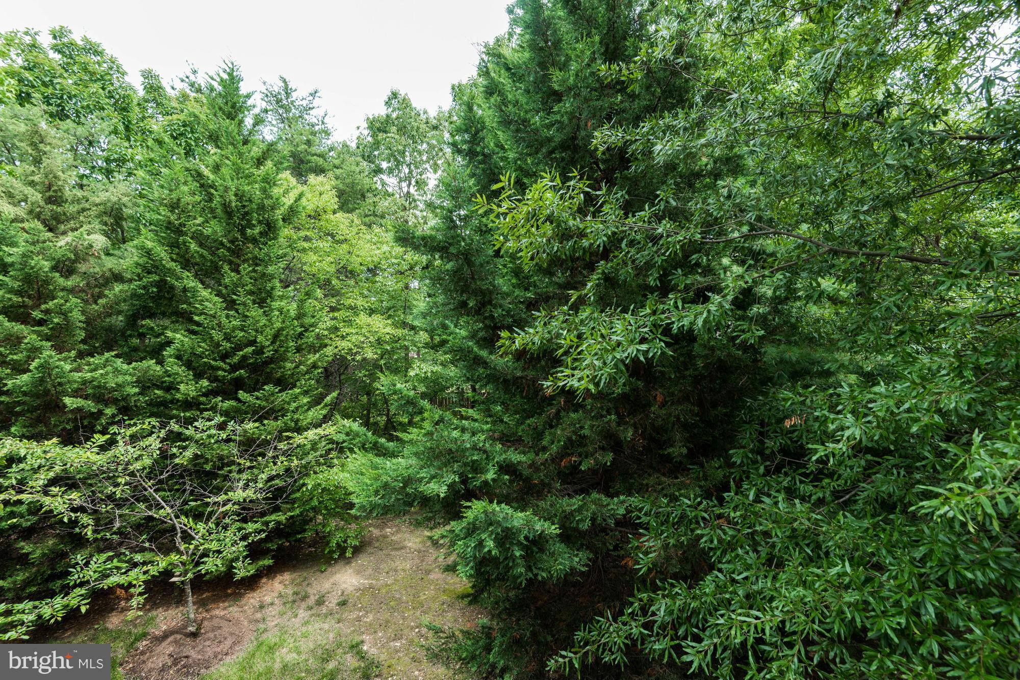 KINGSTOWNE - Residential