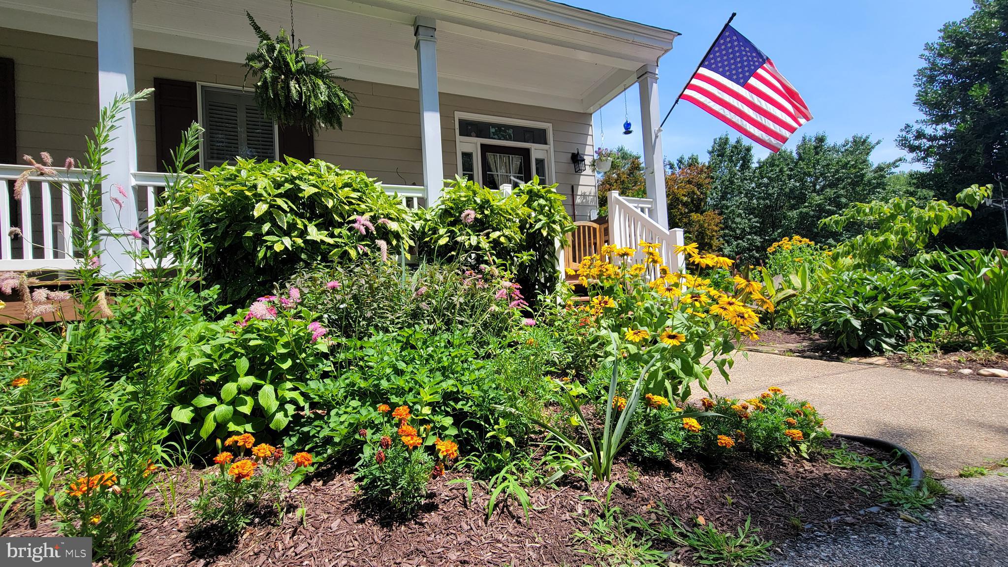 HICKORY RIDGE - Residential