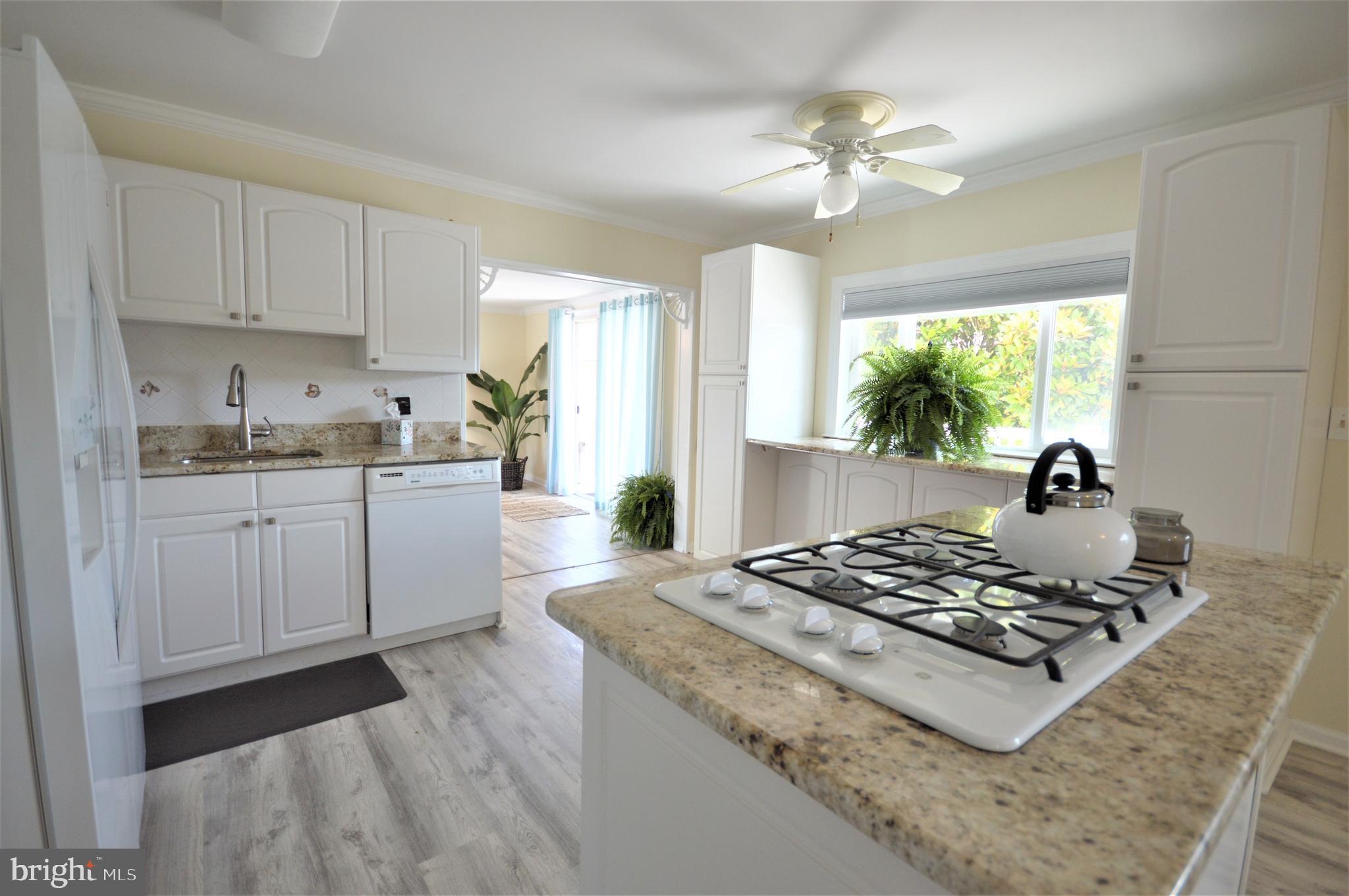 OCEAN PINES - WOOD DUCK II - Residential