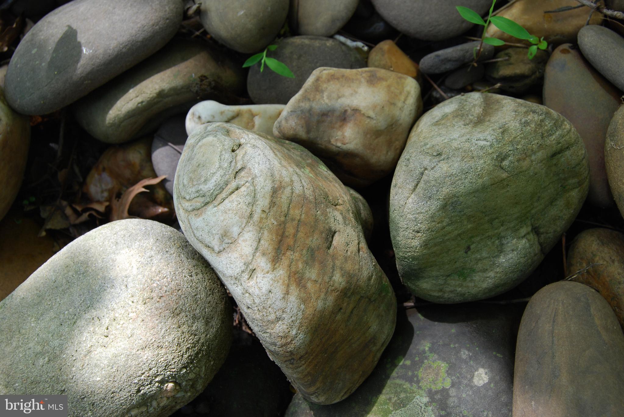 SILVER RIVER ACRES - Residential