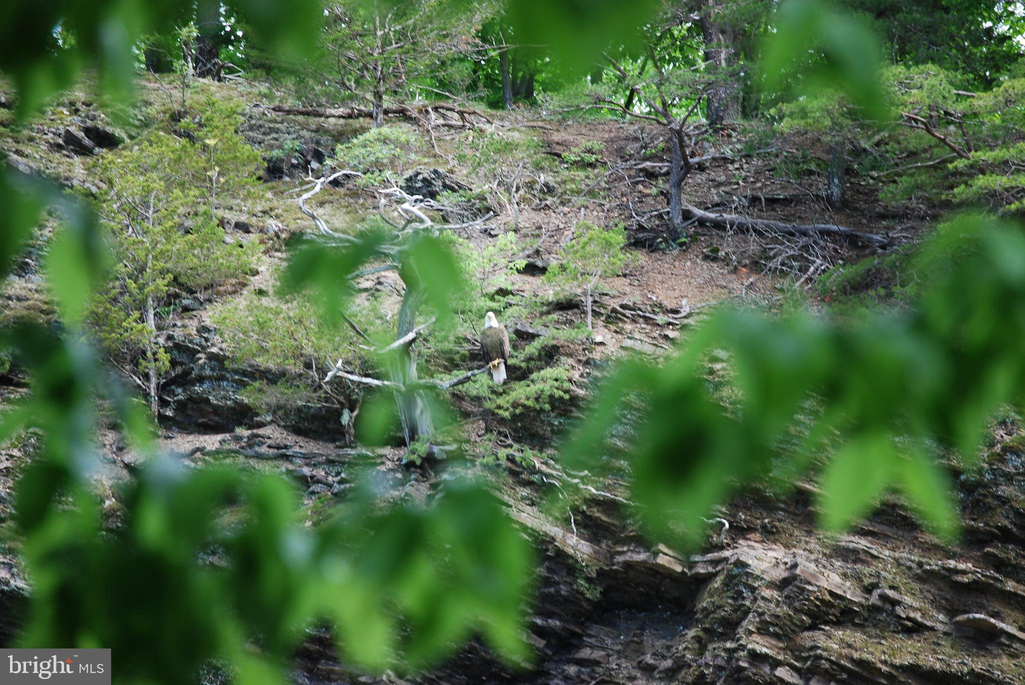 SILVER RIVER ACRES - Residential