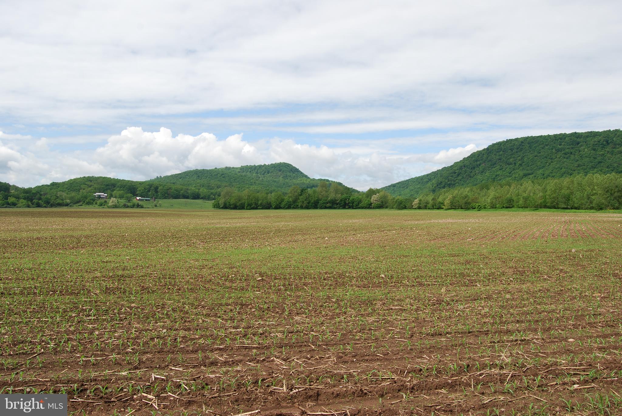 SILVER RIVER ACRES - Residential