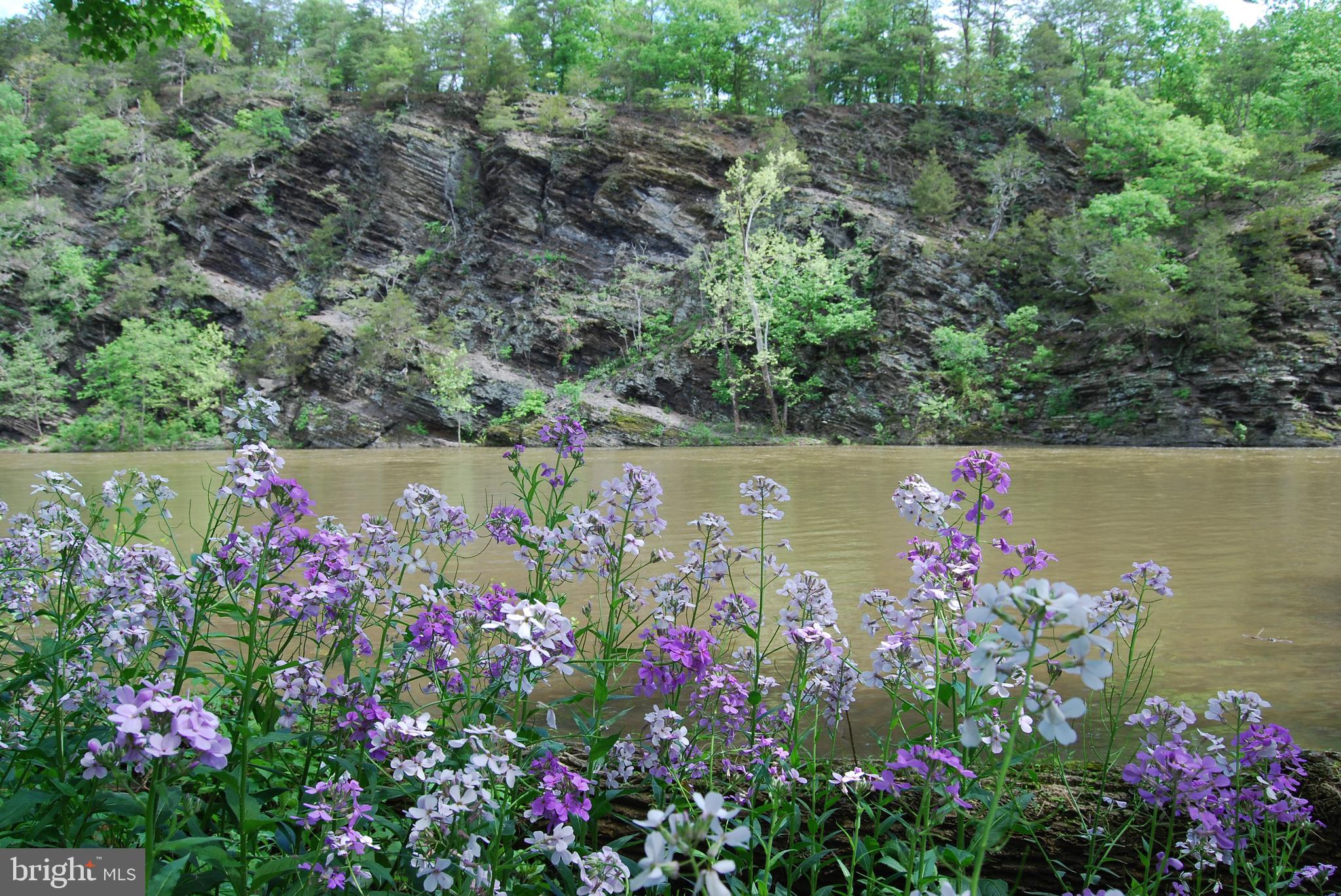 SILVER RIVER ACRES - Residential