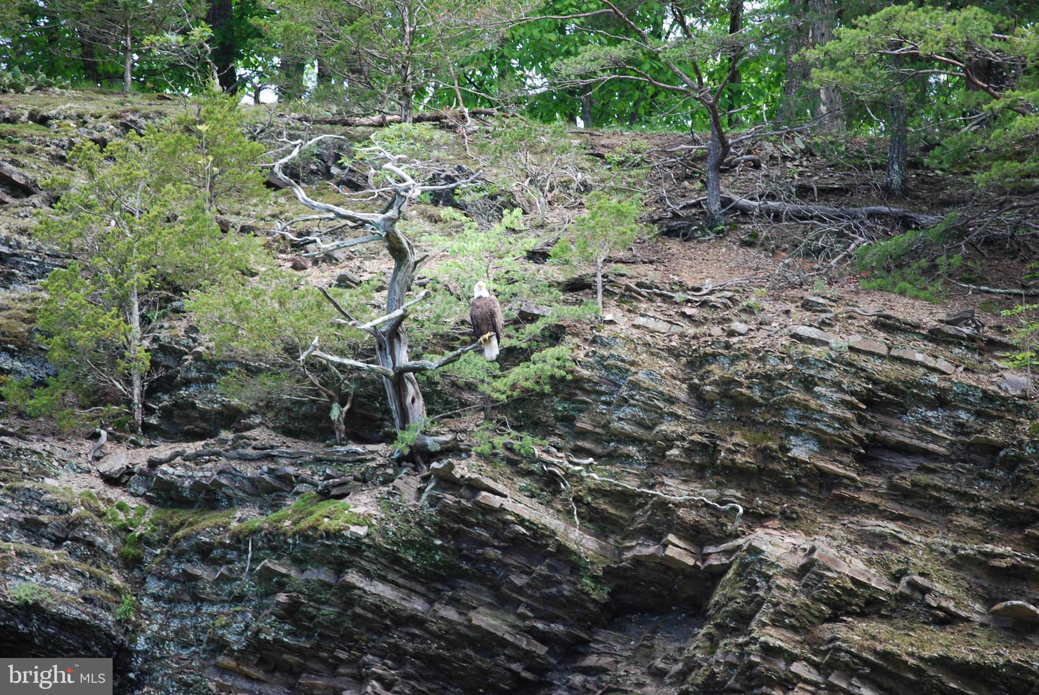 SILVER RIVER ACRES - Residential