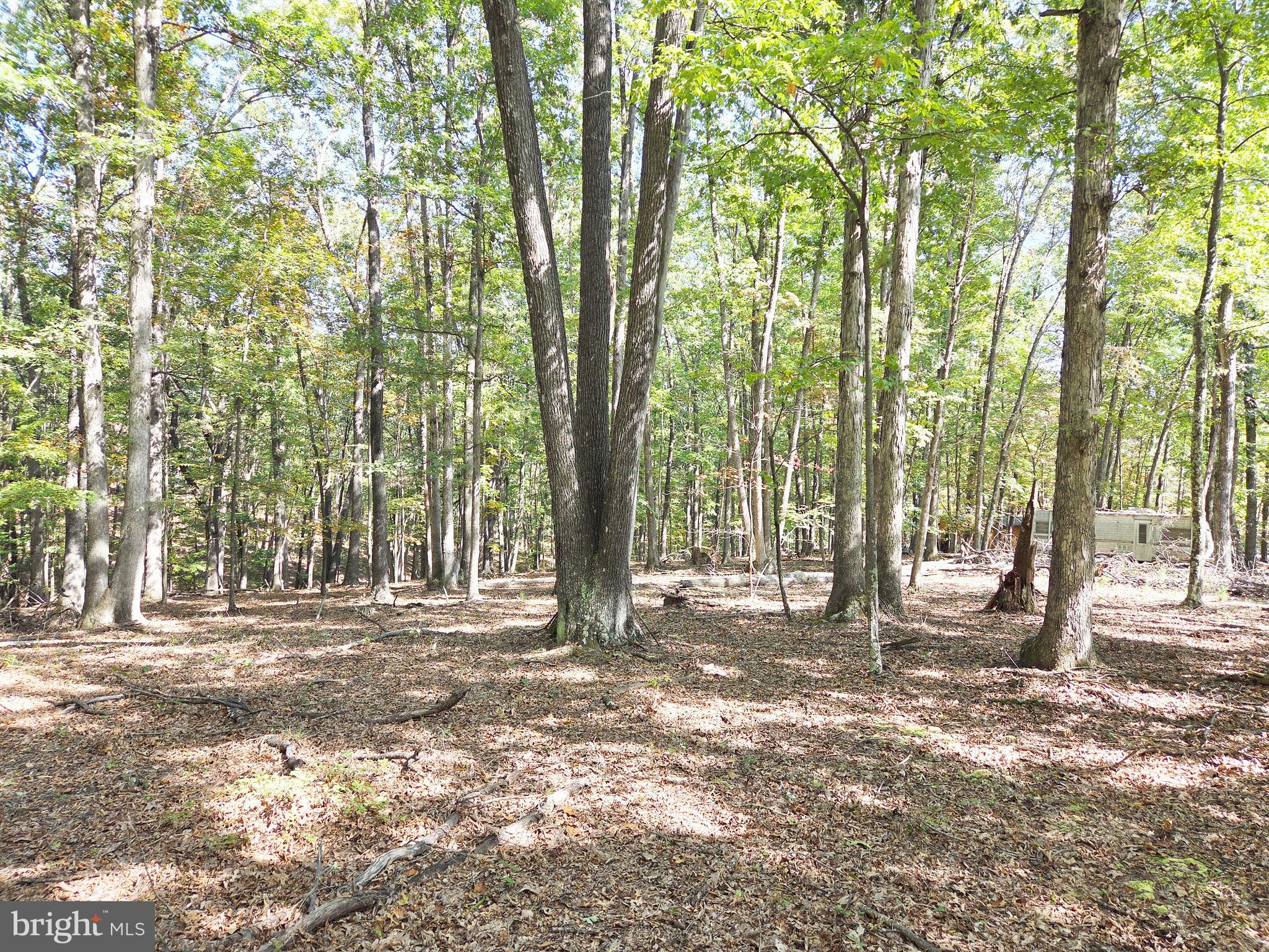 HIGH MOUNTAIN MEADOW - Land