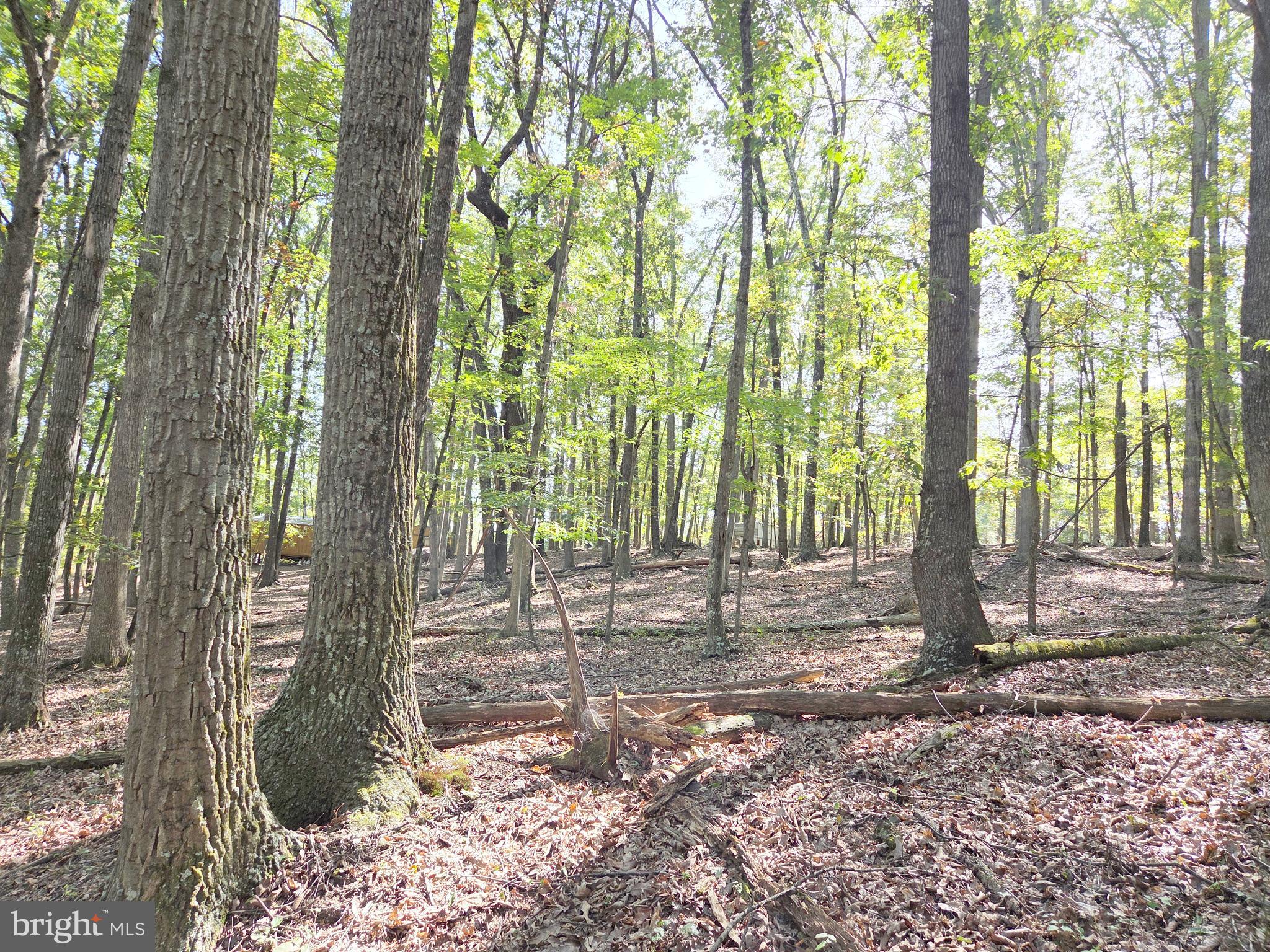 HIGH MOUNTAIN MEADOW - Land