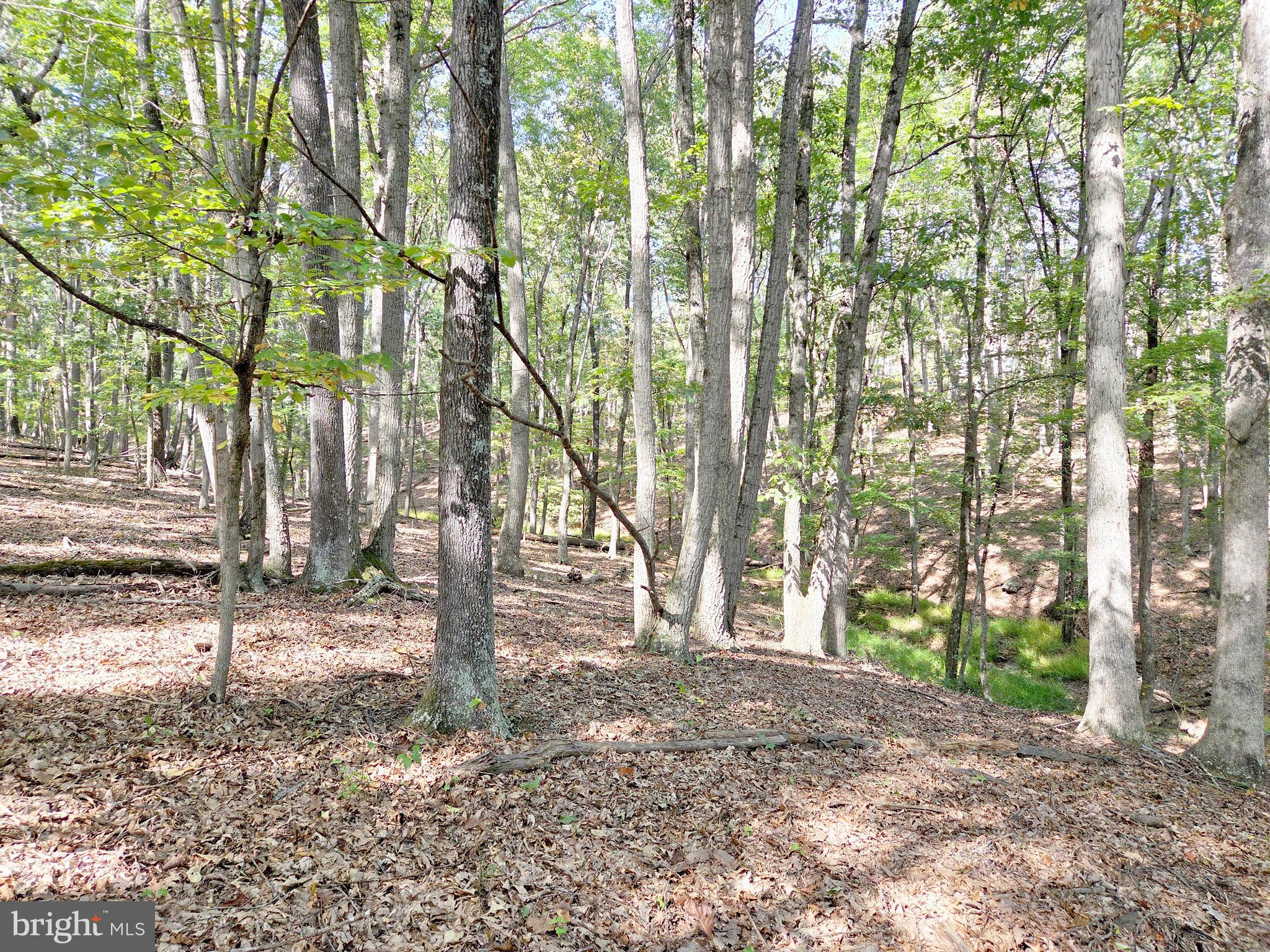 HIGH MOUNTAIN MEADOW - Land
