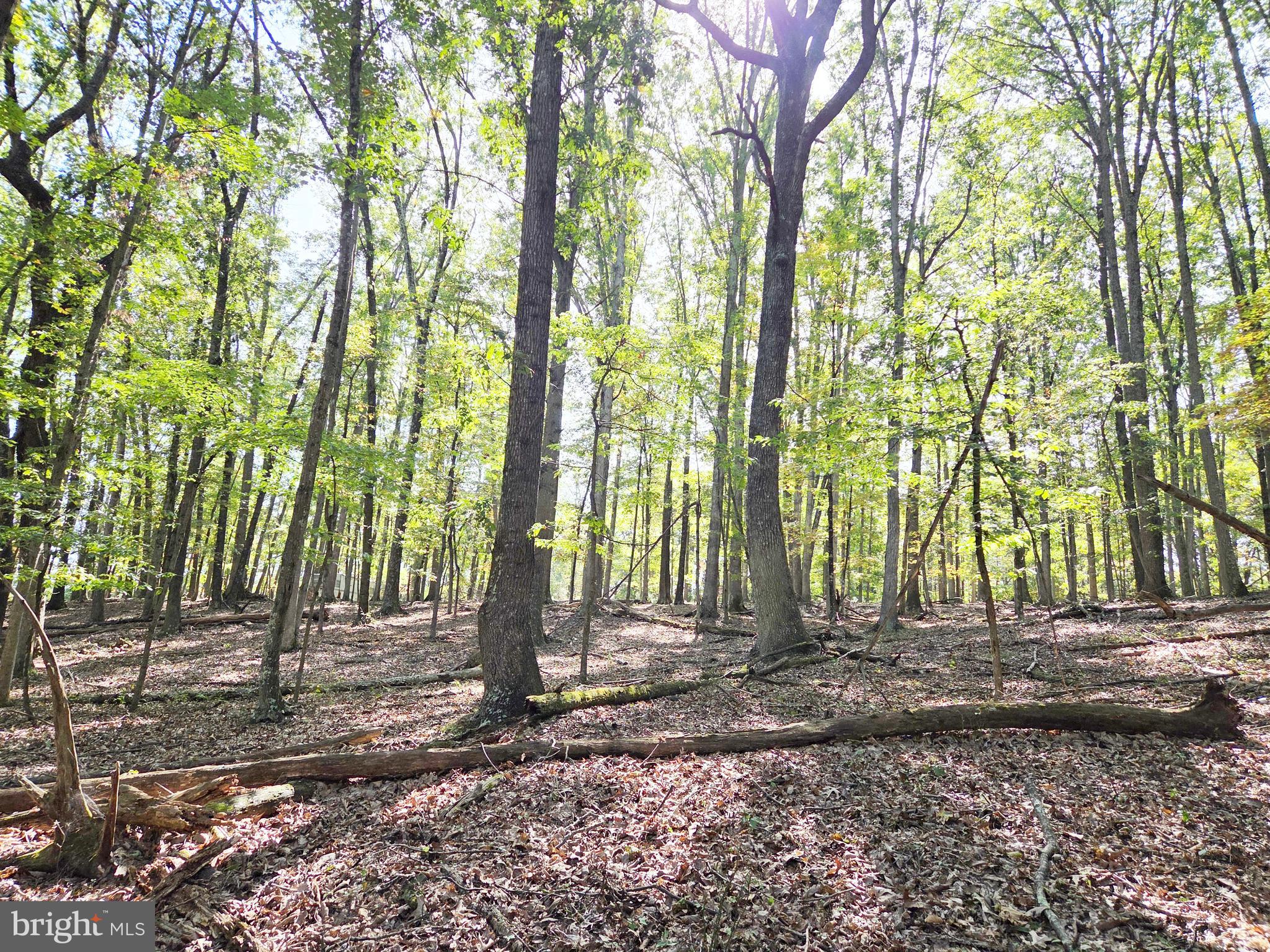 HIGH MOUNTAIN MEADOW - Land