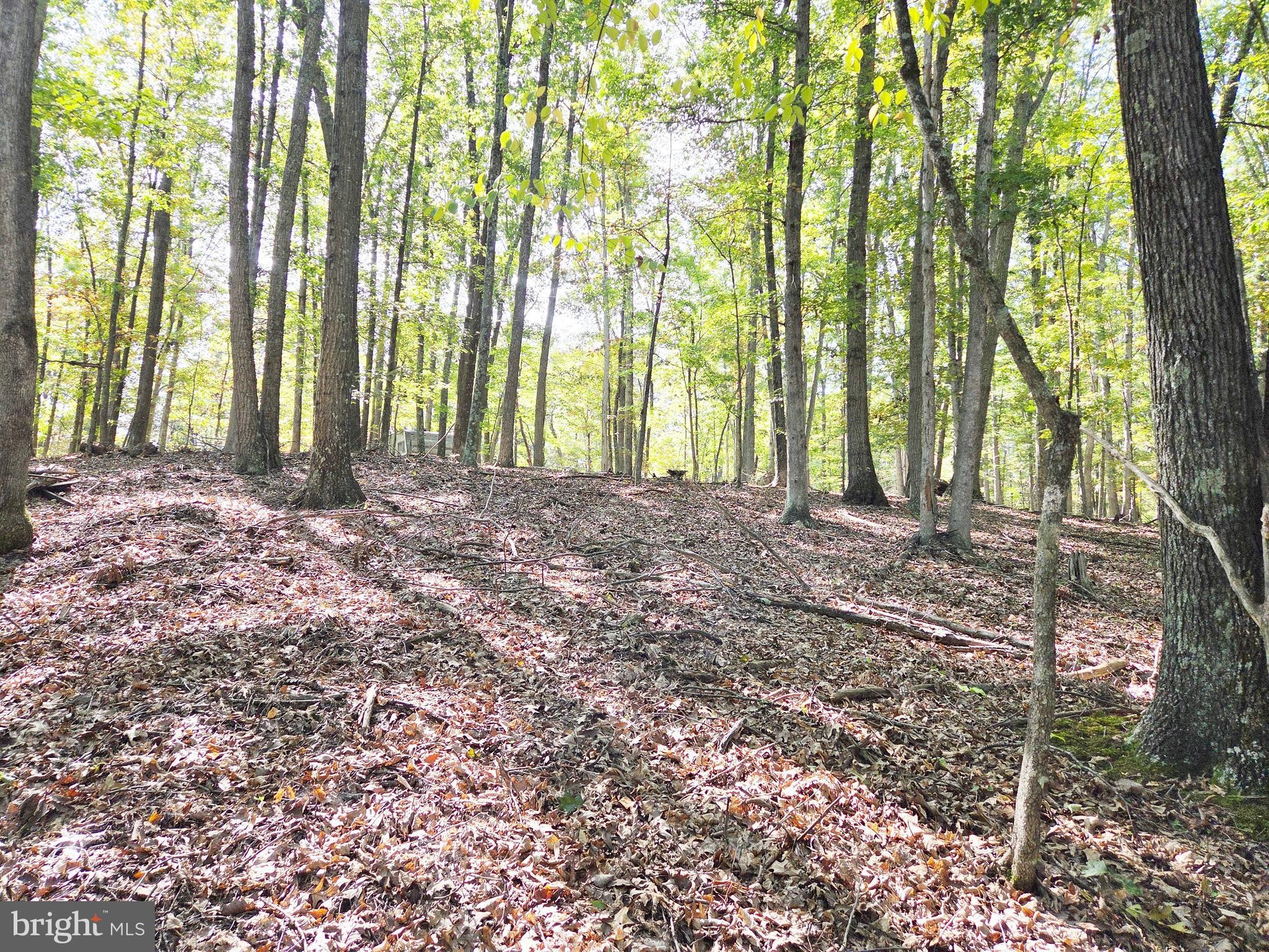 HIGH MOUNTAIN MEADOW - Land