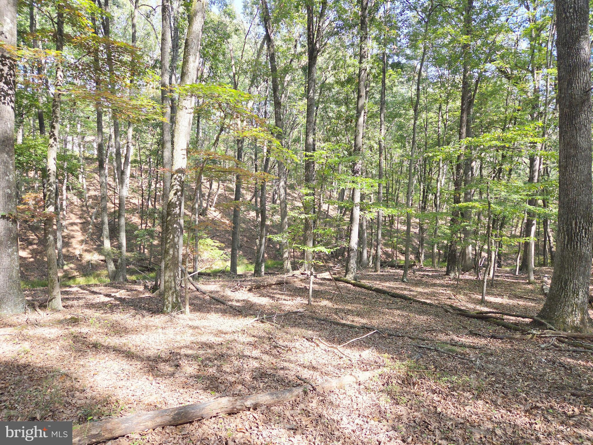 HIGH MOUNTAIN MEADOW - Land