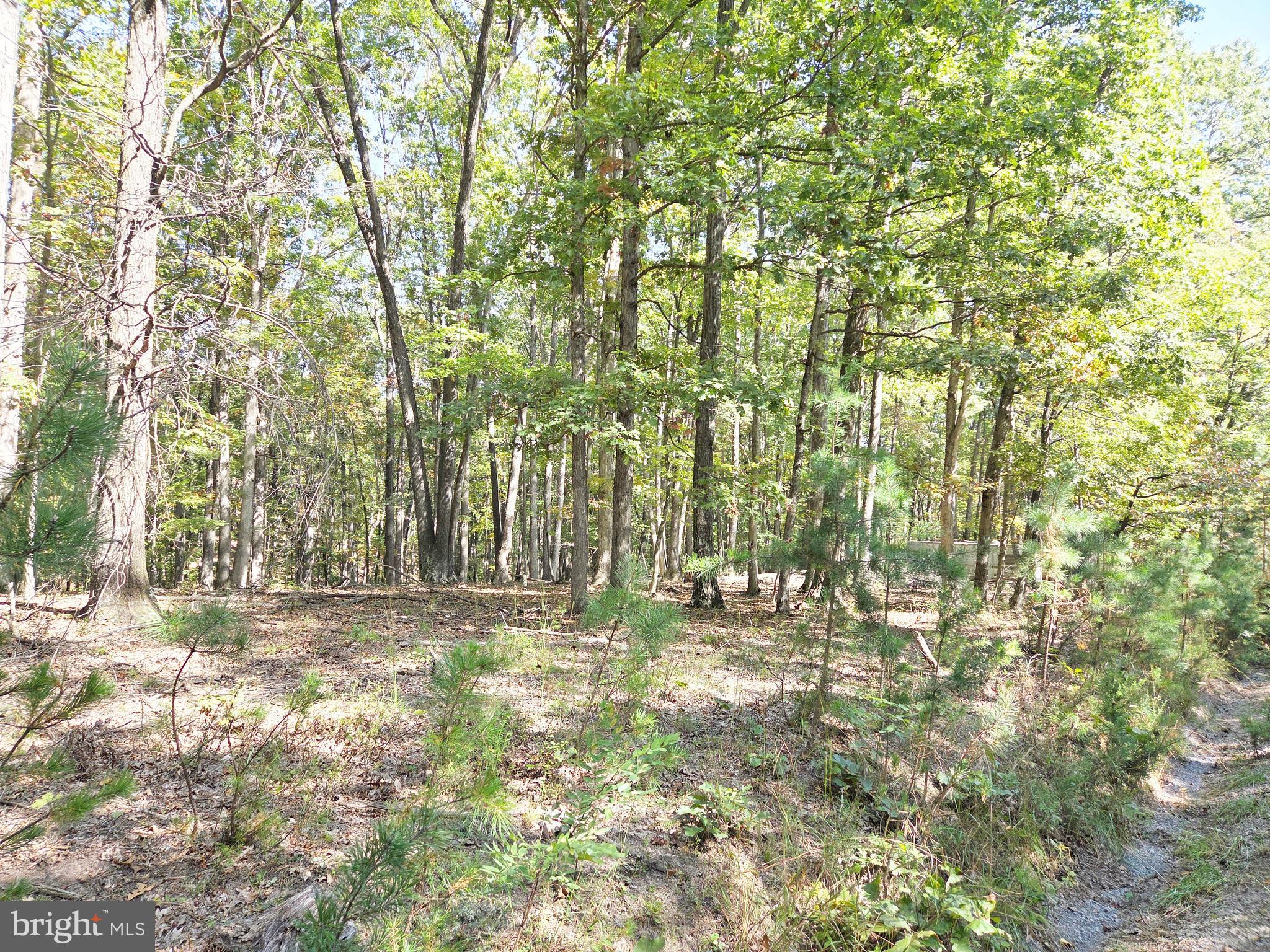 HIGH MOUNTAIN MEADOW - Land