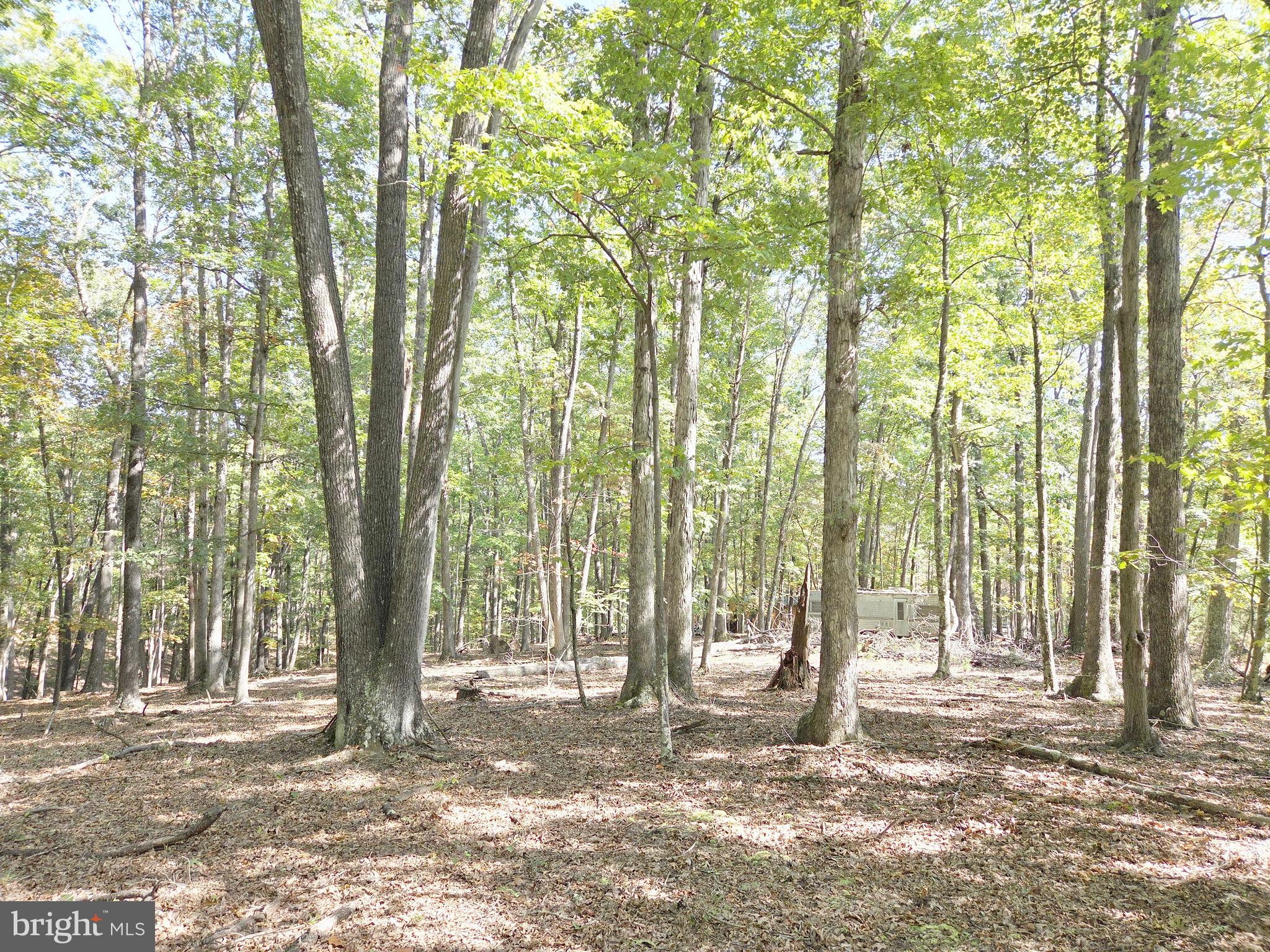 HIGH MOUNTAIN MEADOW - Land