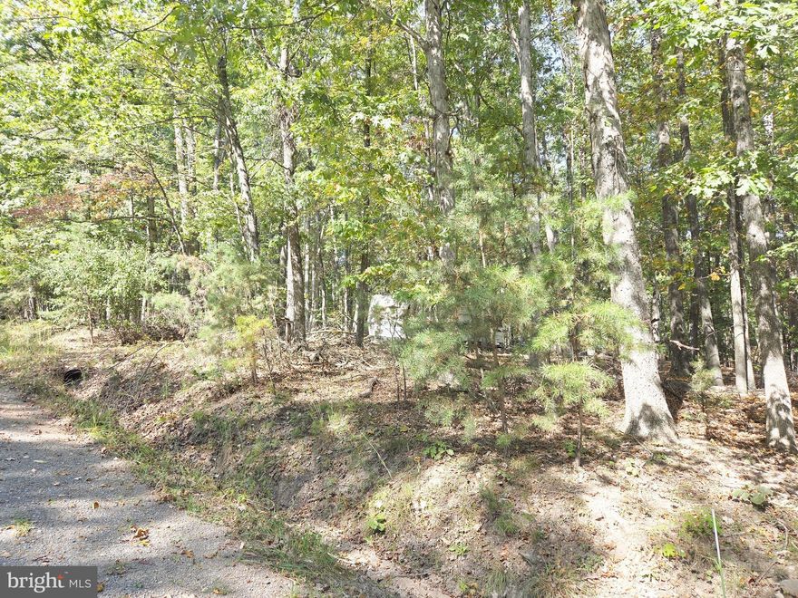 Escape to the mountains of Delray, WV with this beautiful 2.18-acre wooded lot! Currently enjoyed as a recreational getaway, this property offers the perfect setting for hunting, camping, and family fun. With a gentle slope in the topography and a seasonal wet-weather stream, the land is both scenic and practical—an excellent buildable site for your future cabin or dream home.

As a bonus, owners here enjoy community access to over 8,000 acres of public hunting land, making this an outdoor enthusiast’s paradise. At a great price, this property offers both investment potential and endless enjoyment.

Pack your gear and head to West Virginia—where fun and freedom go hand in hand!