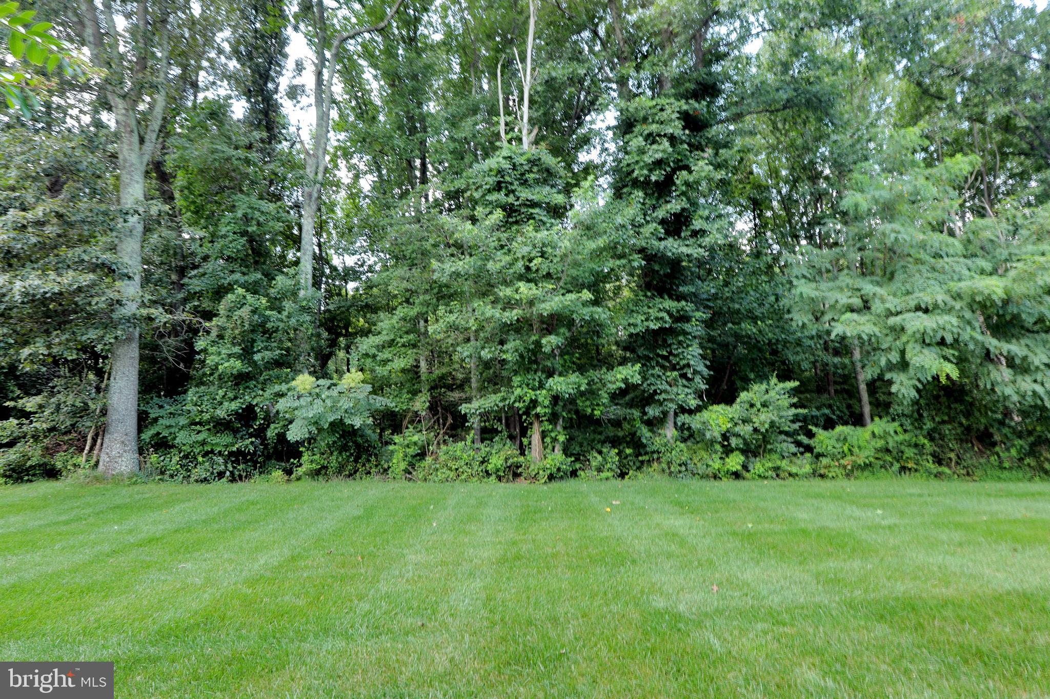 THE VILLAGES OF STEEPLECHASE - Residential