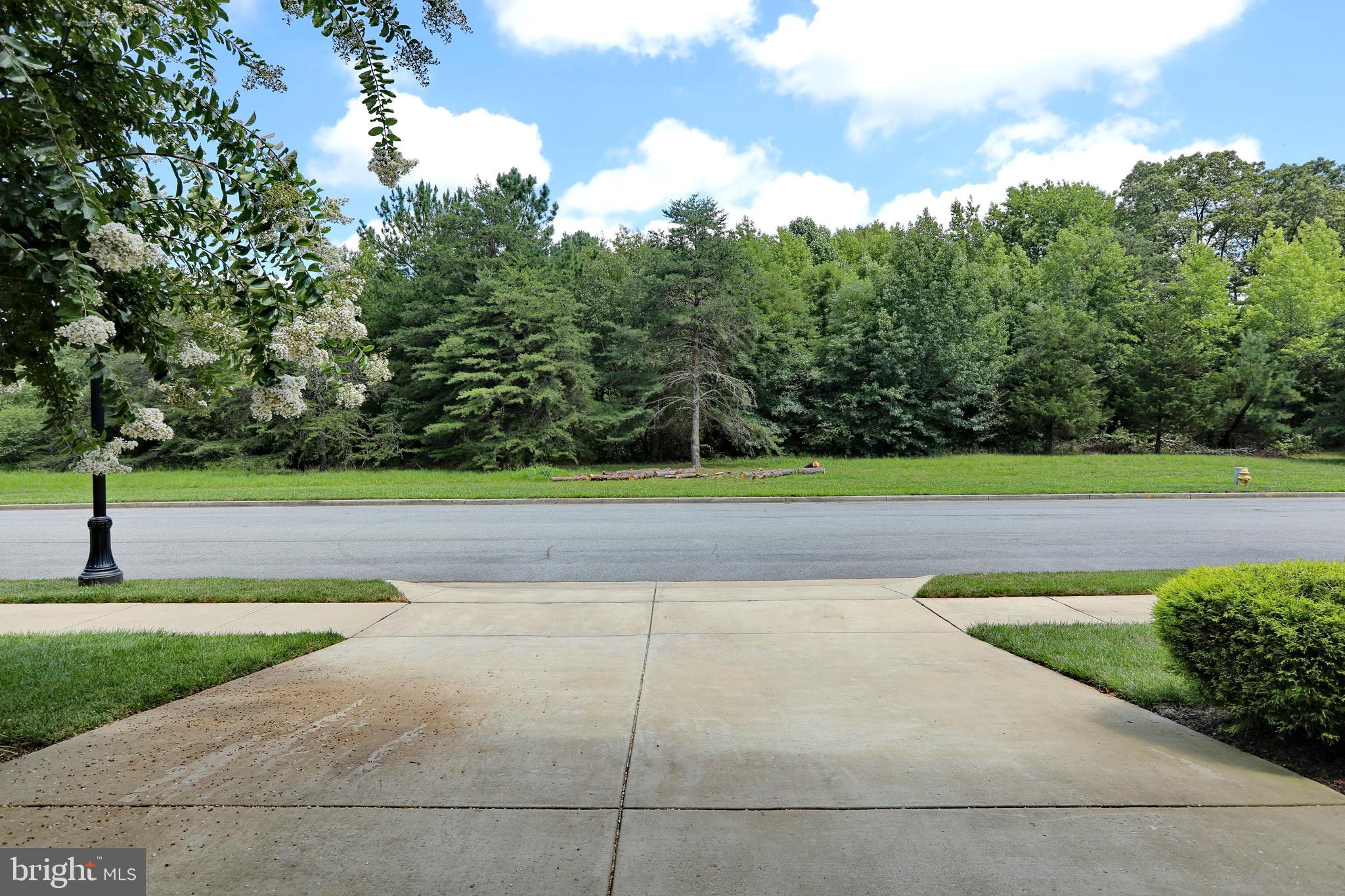 THE VILLAGES OF STEEPLECHASE - Residential