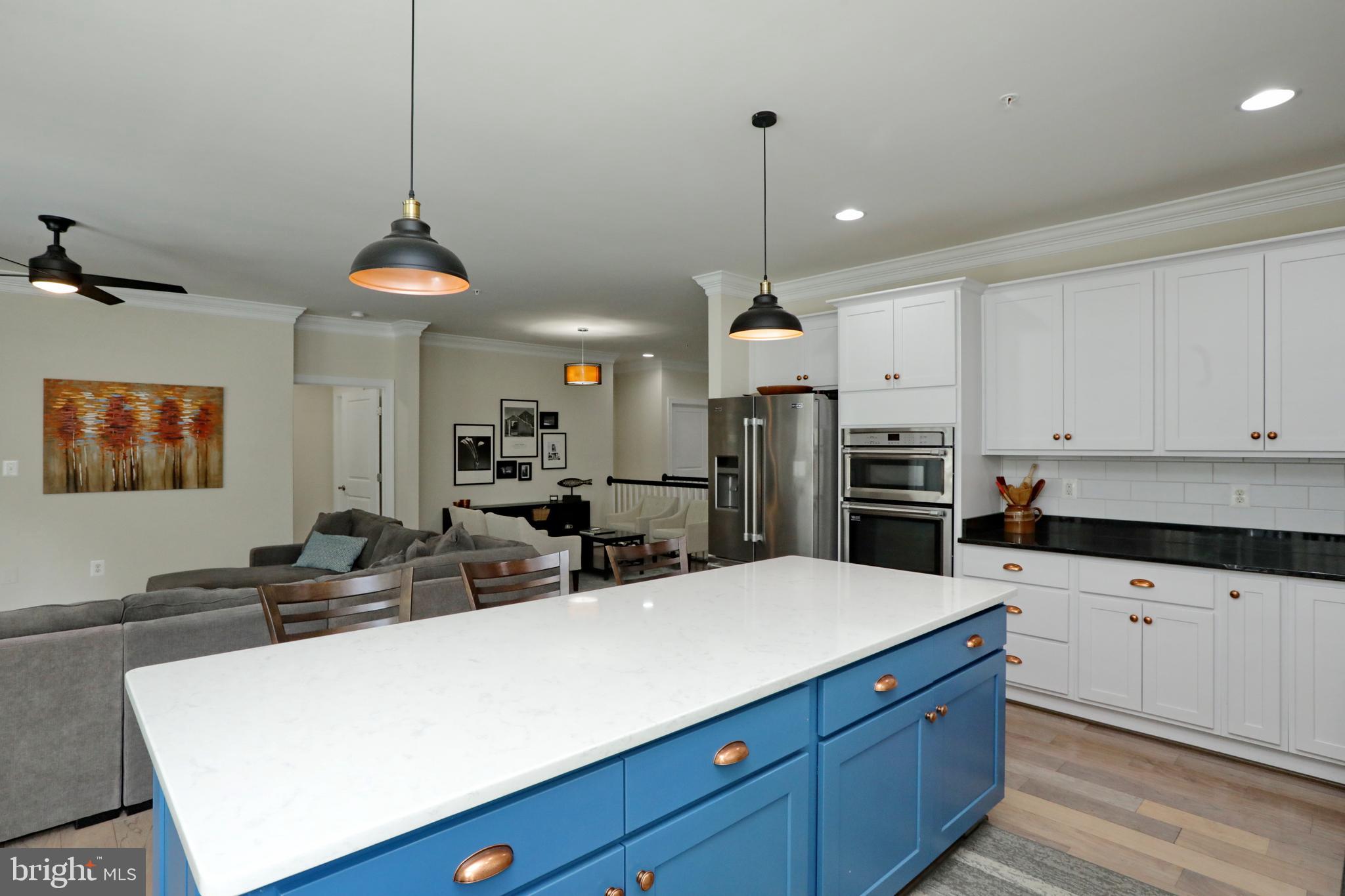 THE VILLAGES OF STEEPLECHASE - Residential