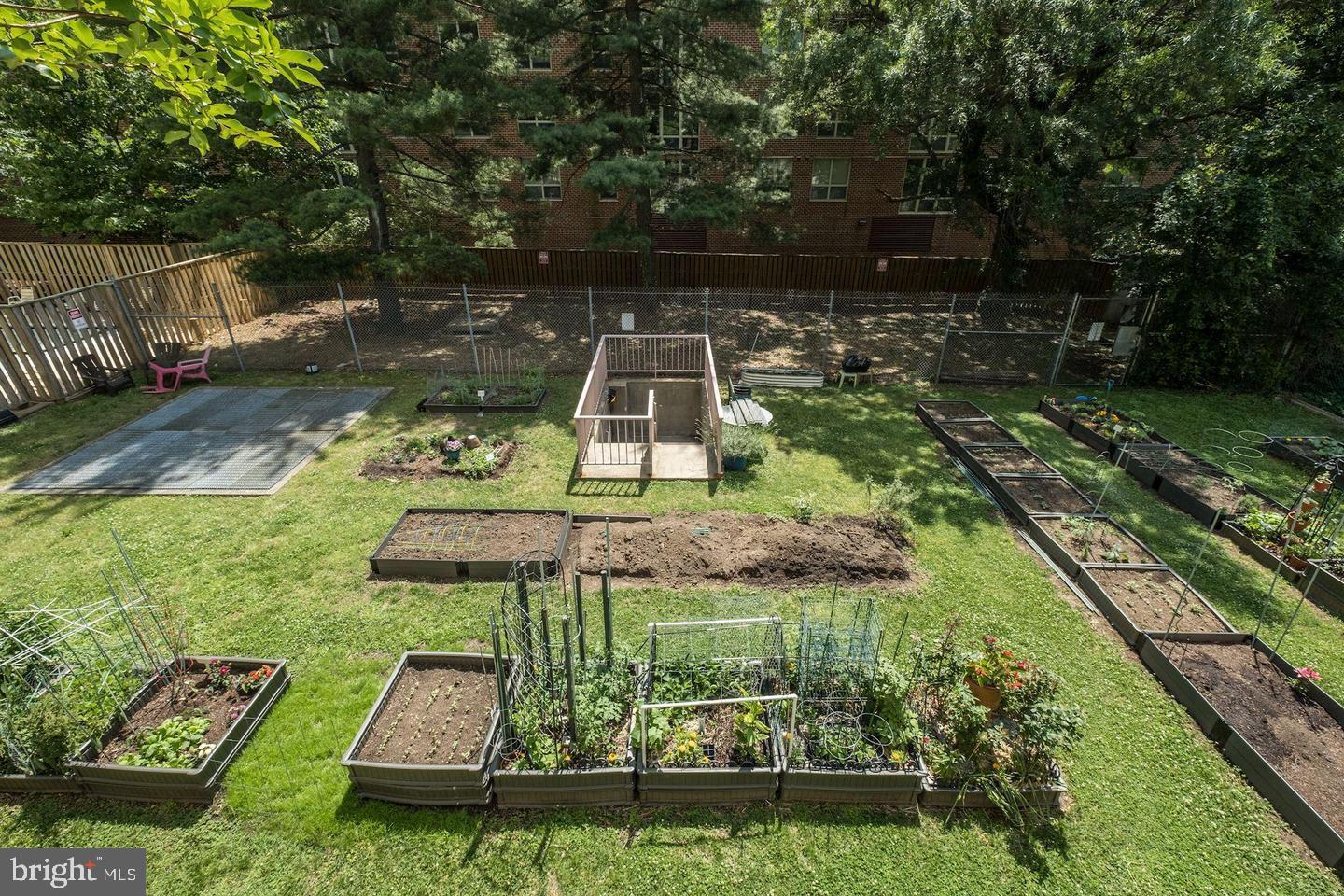 HYDE PARK - Residential Lease