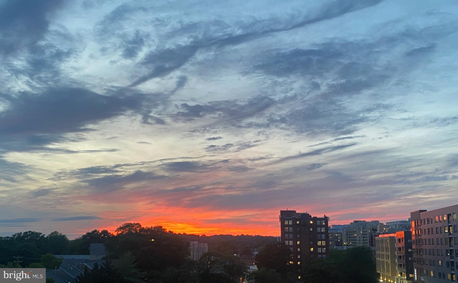 HYDE PARK - Residential Lease