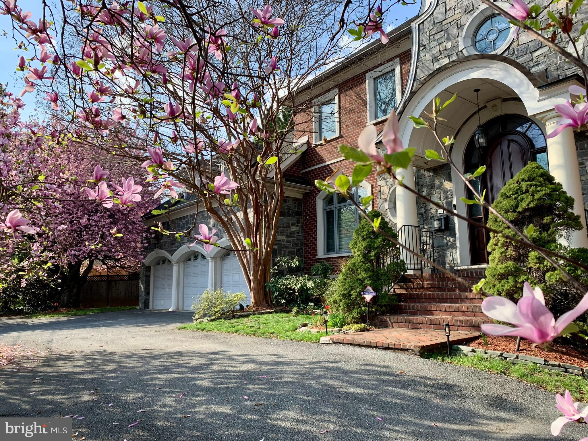 NORTH CHEVY CHASE - Residential