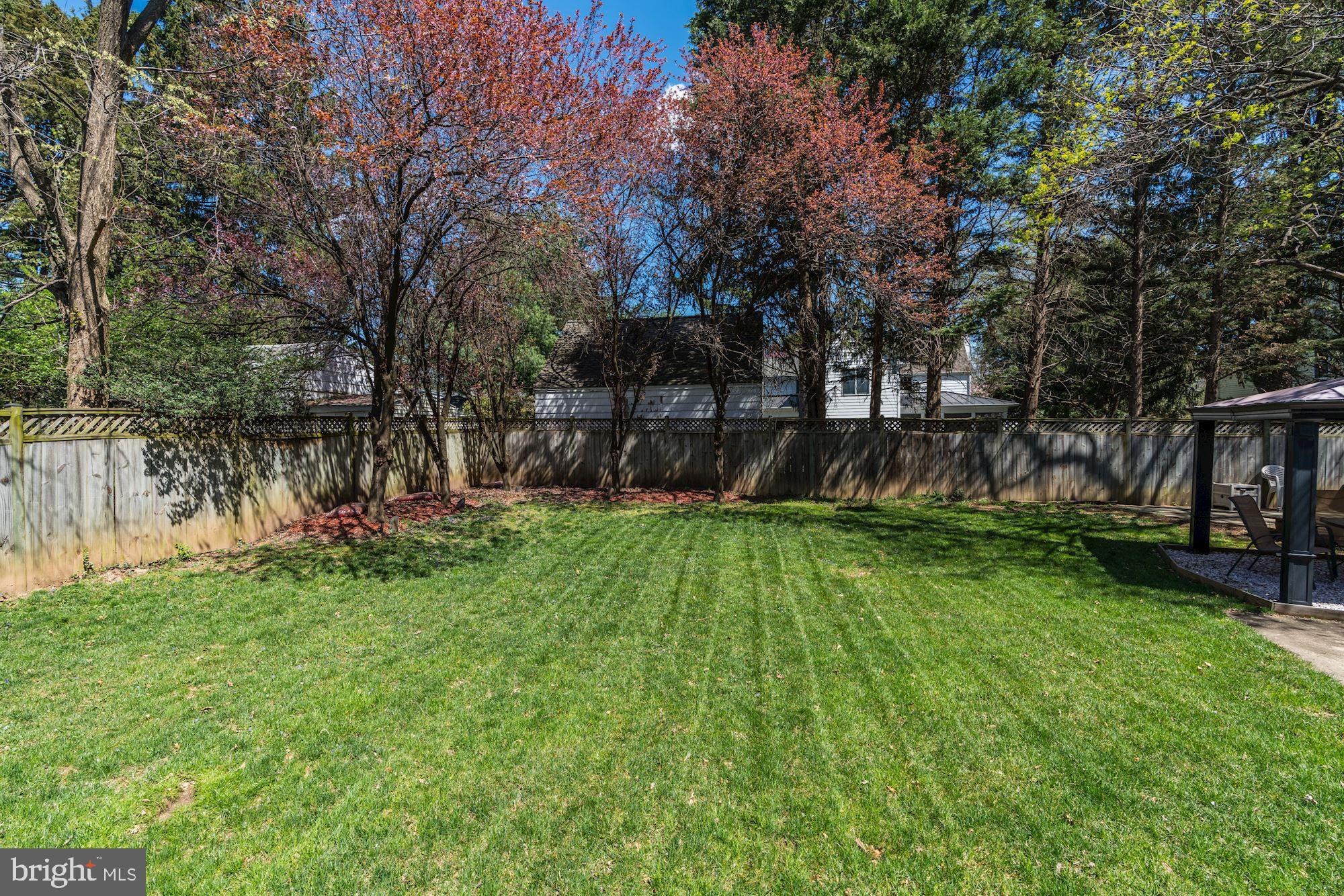 NORTH CHEVY CHASE - Residential