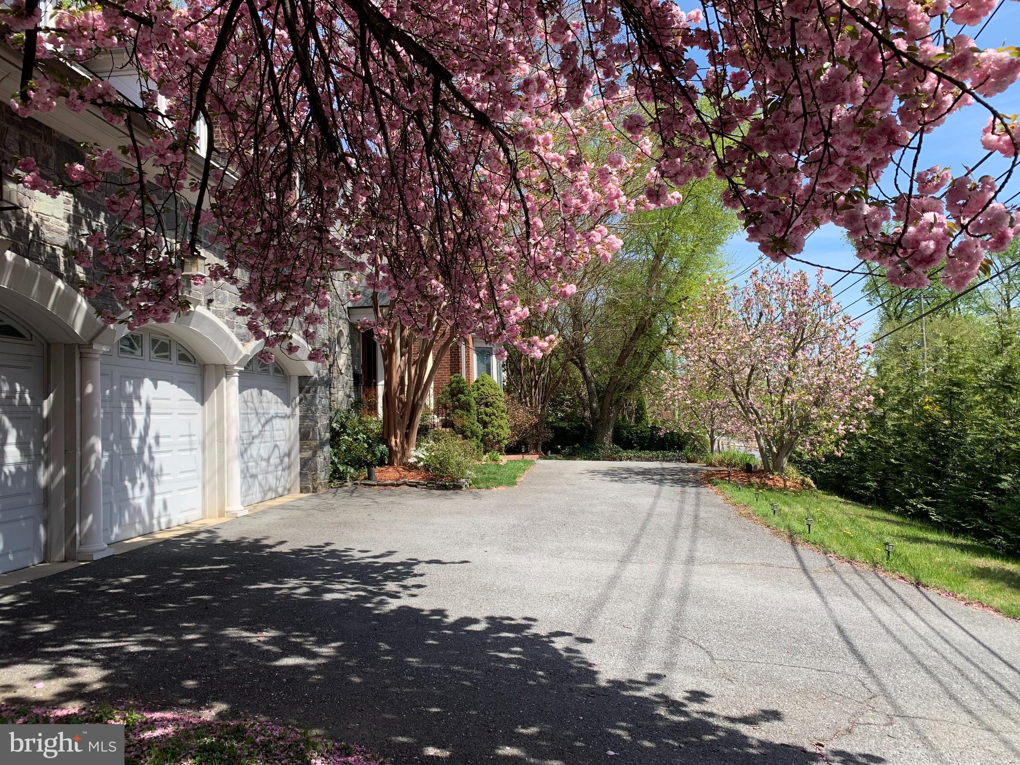 NORTH CHEVY CHASE - Residential