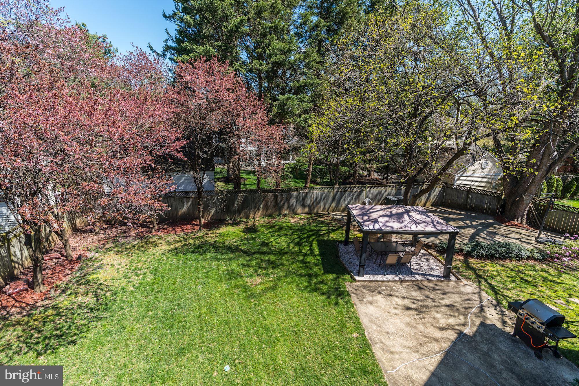 NORTH CHEVY CHASE - Residential