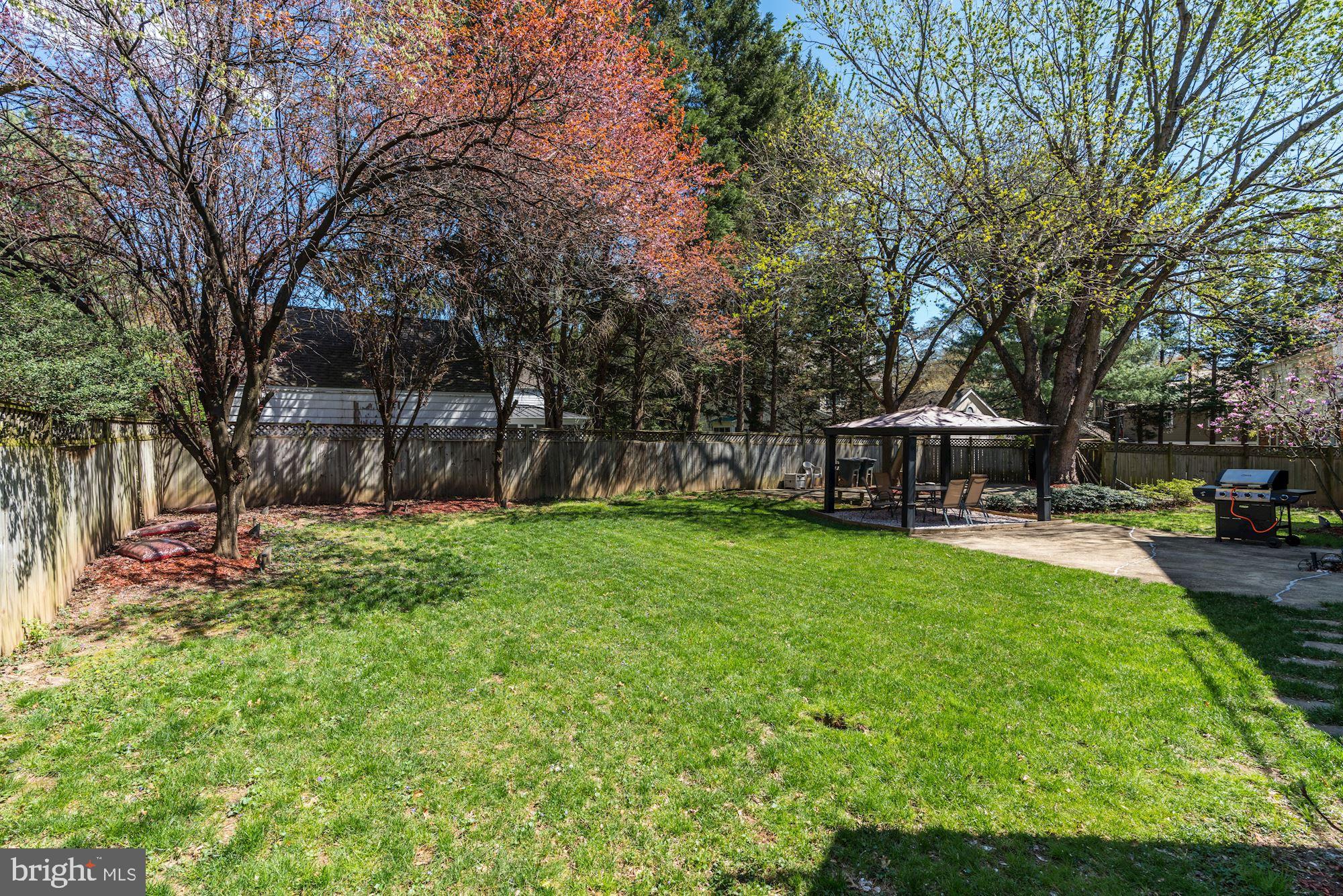 NORTH CHEVY CHASE - Residential
