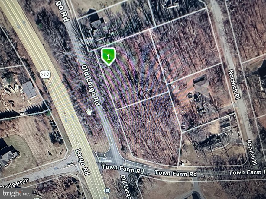 Great Opportunity to buy and build your own home or for a builder to buy and build a spec home on. Lot is wooded square and level. New homes all around. Easy access to all major roads.