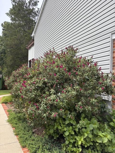 4503 LANTERN PLACE