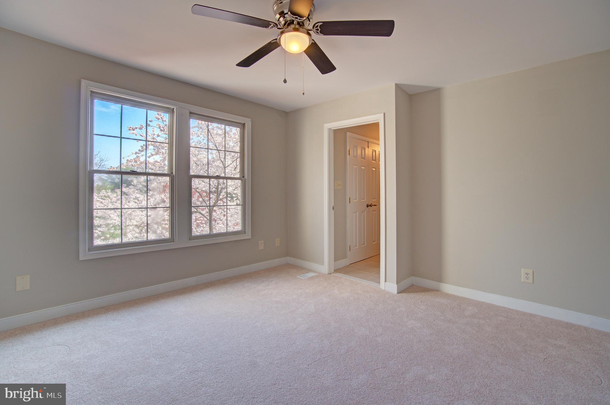 PARADISE - Residential