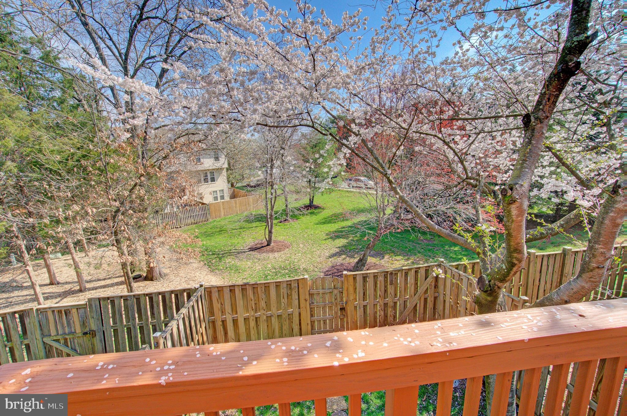 PARADISE - Residential