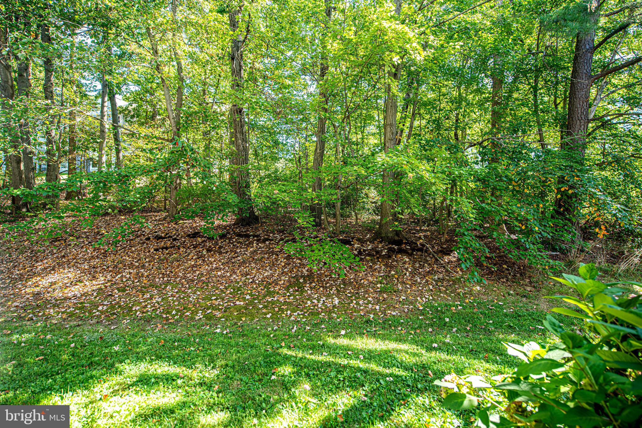 WOODBRIDGE CENTER - Residential