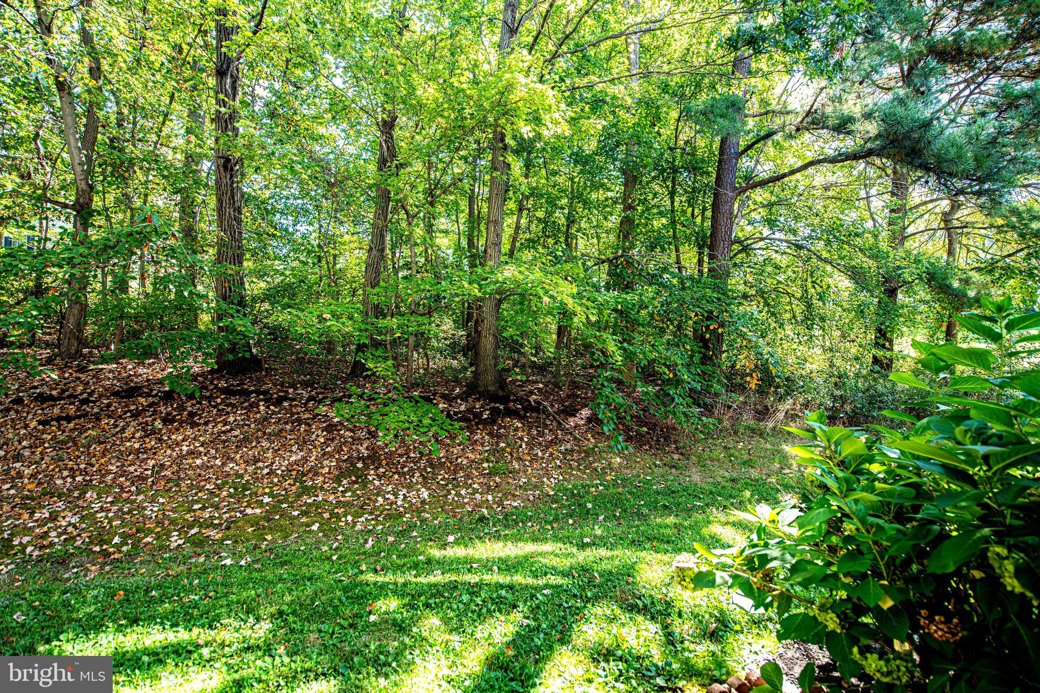 WOODBRIDGE CENTER - Residential