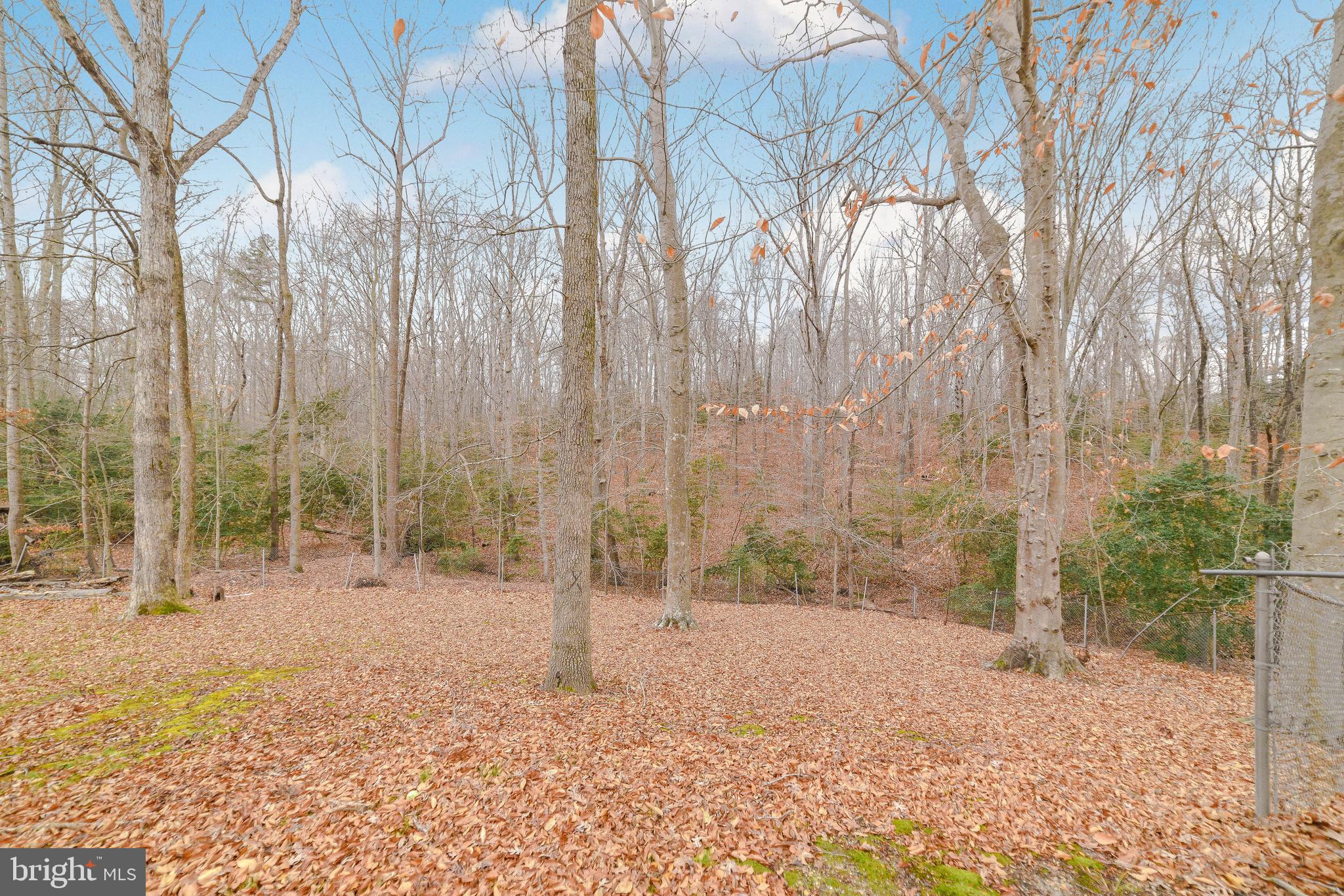 GILLENS GROVE - Residential