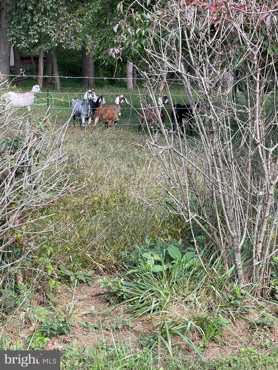 WEST FRIENDSHIP - Land