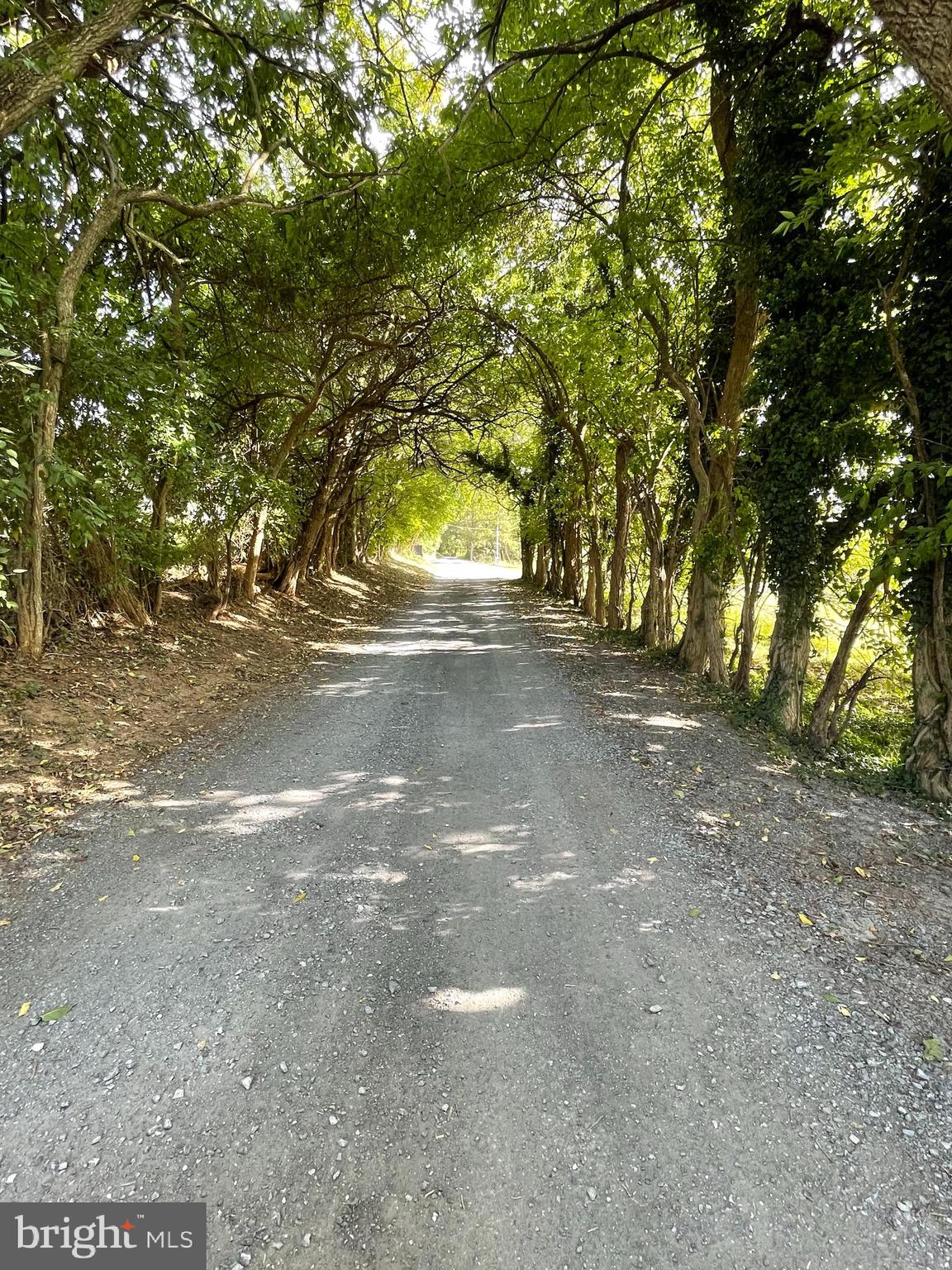 WEST FRIENDSHIP - Land