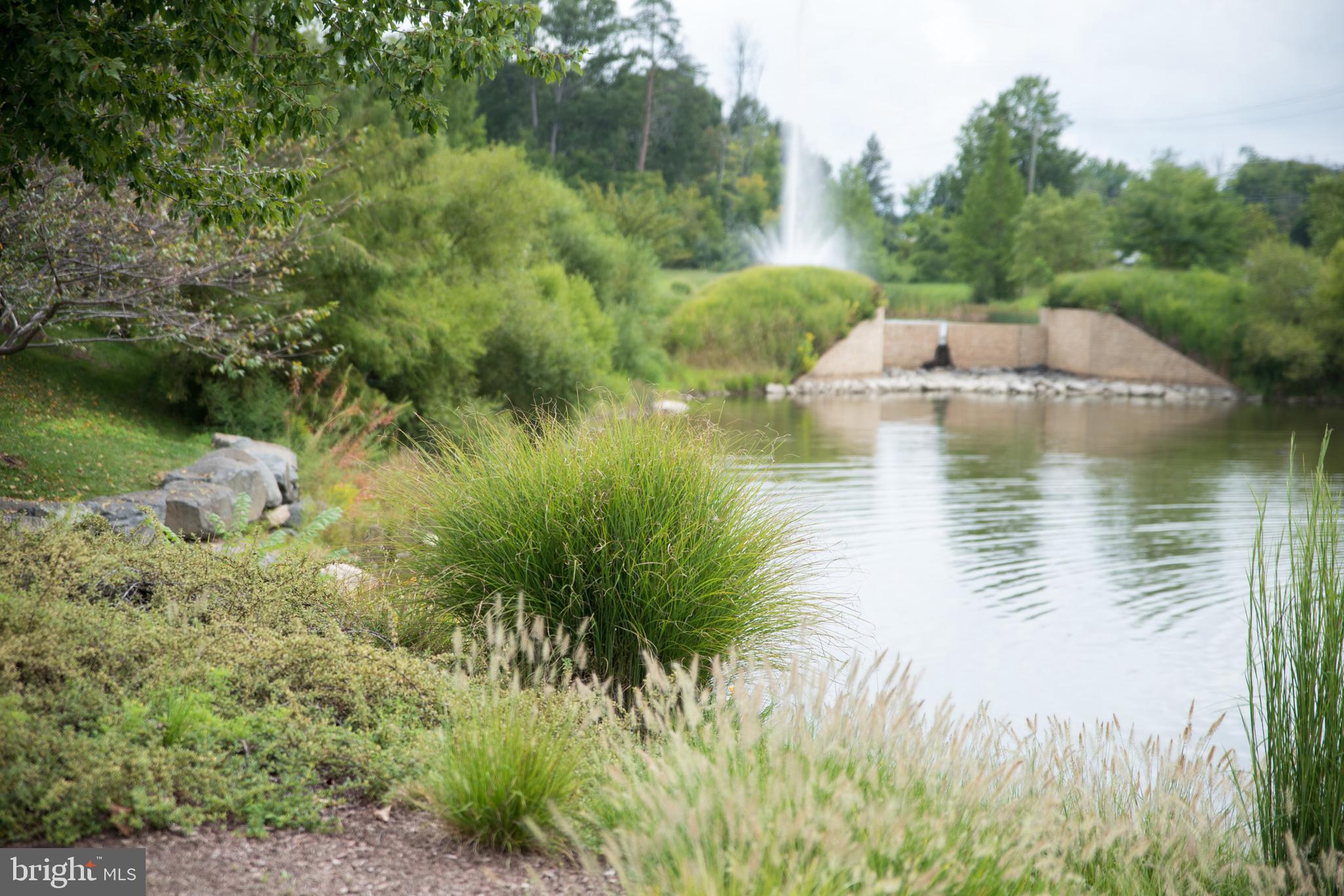 LANSDOWNE TOWN CENTER - Residential