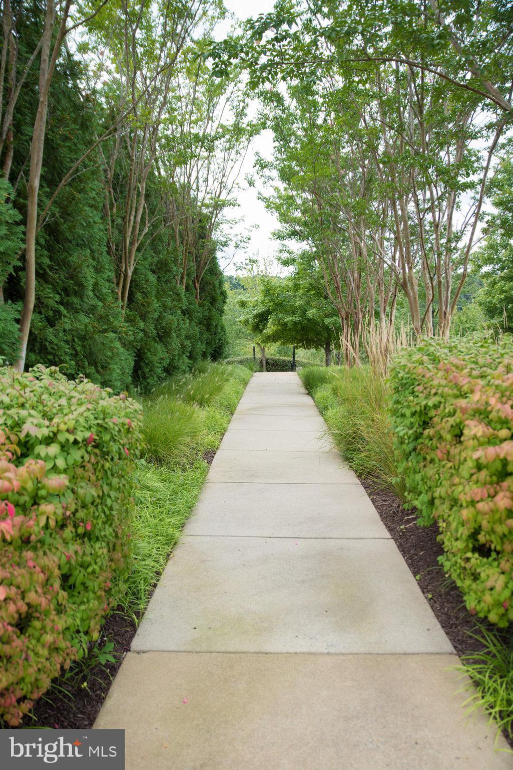 LANSDOWNE TOWN CENTER - Residential