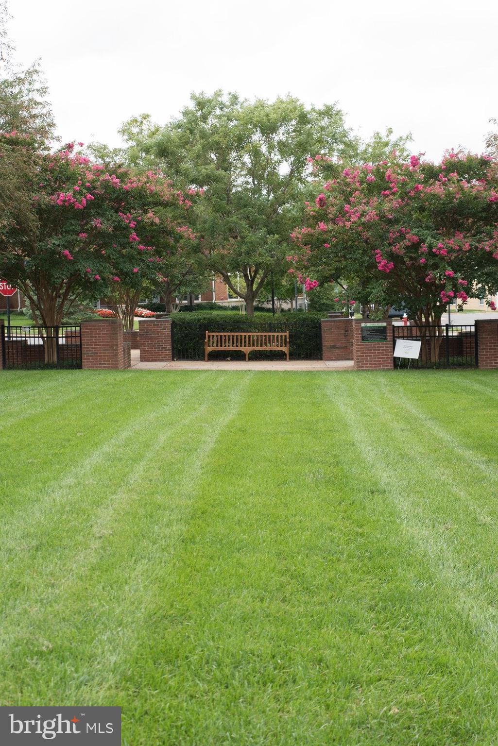 LANSDOWNE TOWN CENTER - Residential