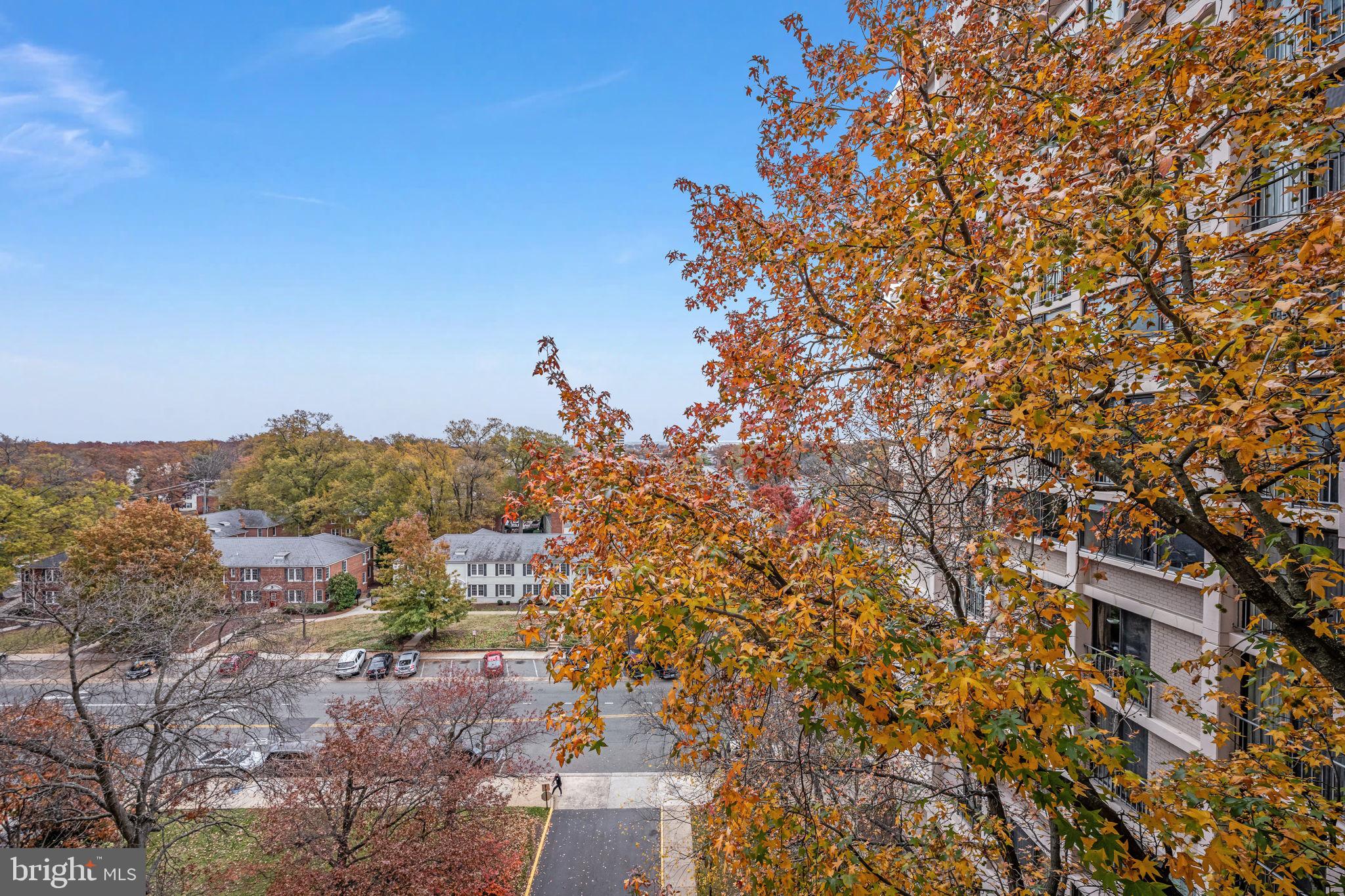 4141 N HENDERSON ROAD 702