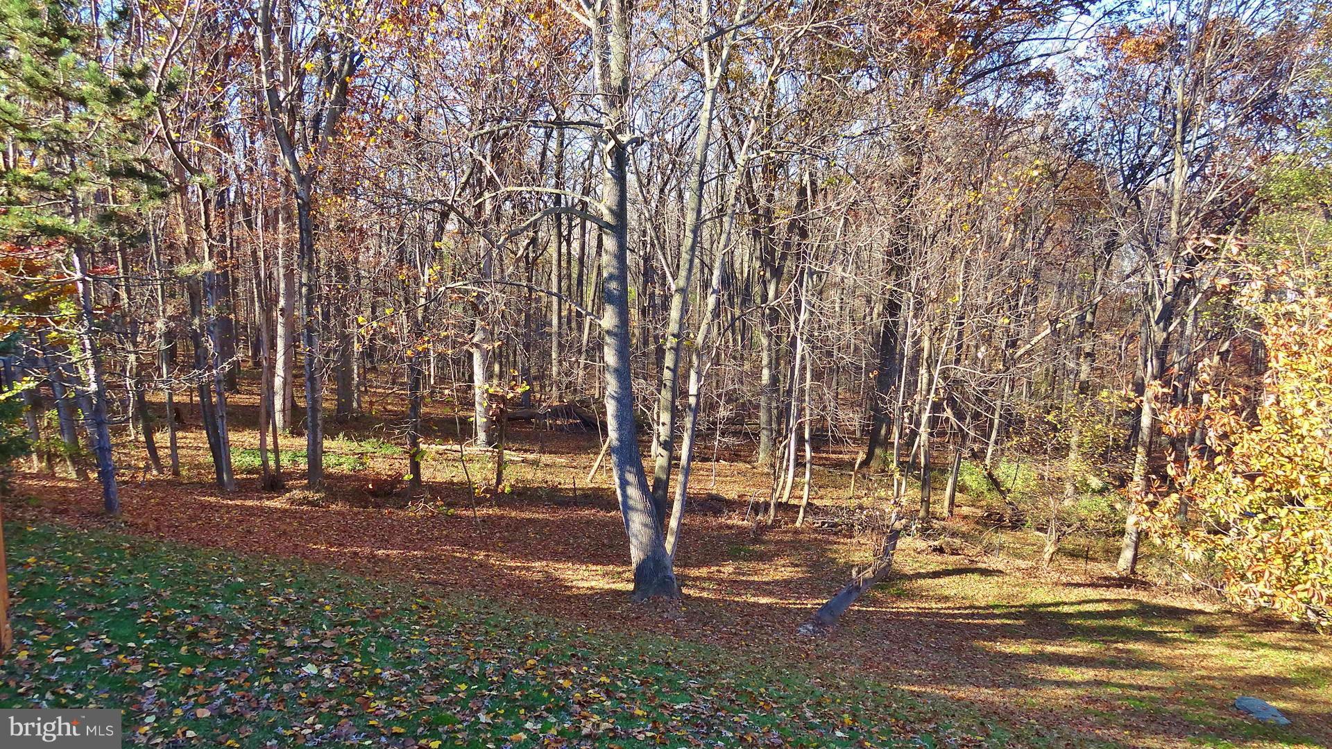 WASHINGTONIAN WOODS - Residential